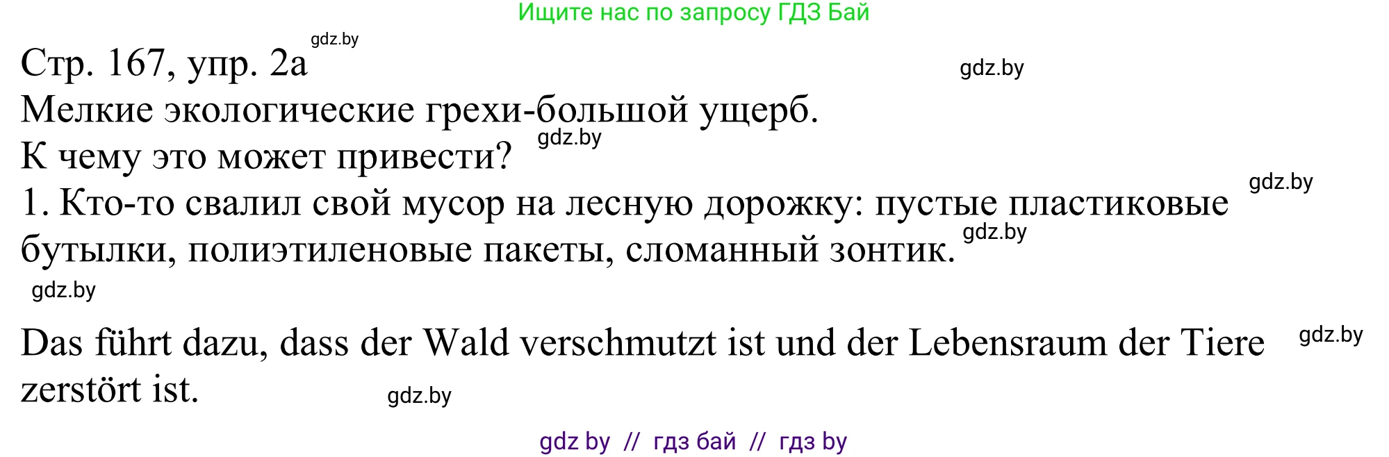 Немецкий язык (Deutsch), 11 класс Учебник (Schülerbuch), авторы: Будько Антонина Филипповна (Budjko Antonina), Урбанович Инна Ювинальевна (Urbanowitsch Ina), издательство Вышэйшая школа, Минск, 2019, бирюзового цвета, страница 167, номер 2a, Решение