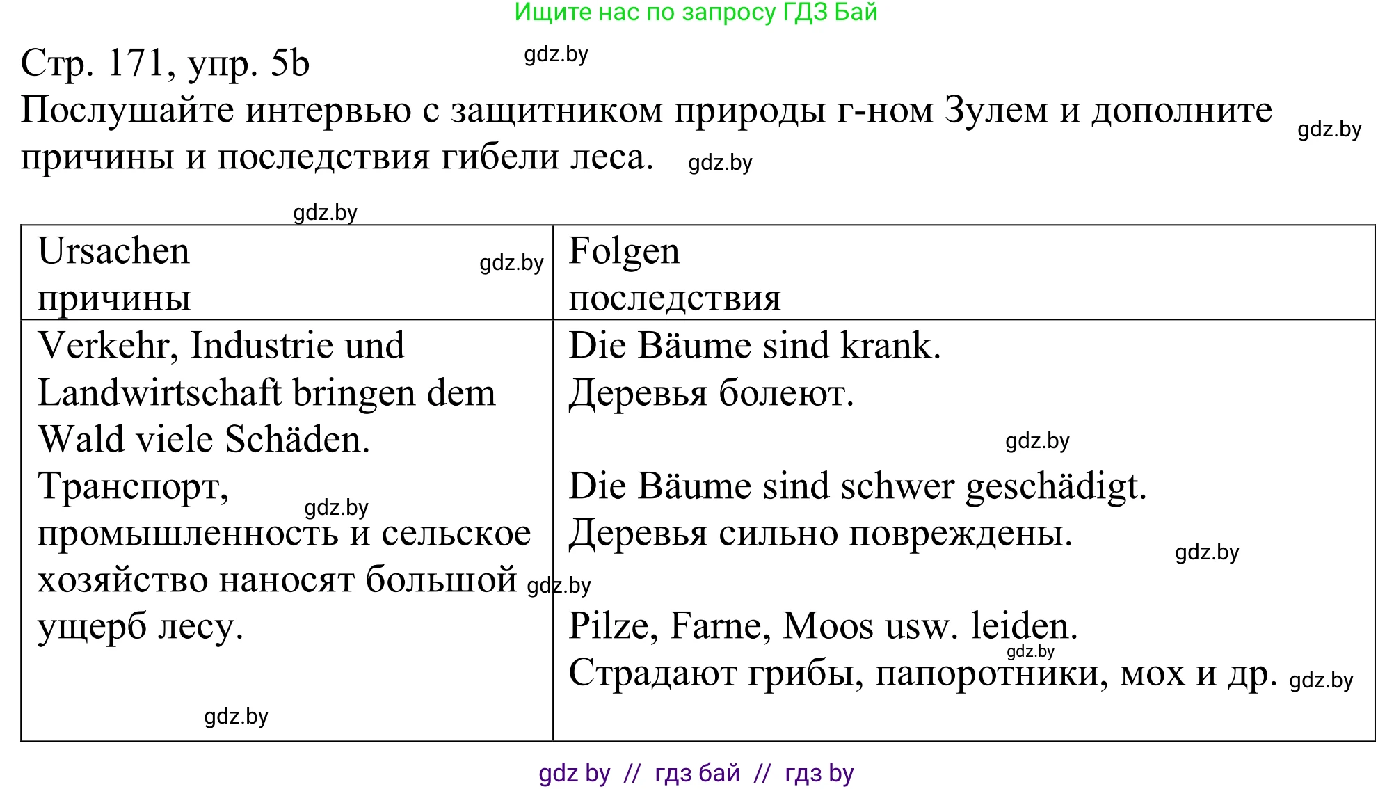 Немецкий язык (Deutsch), 11 класс Учебник (Schülerbuch), авторы: Будько Антонина Филипповна (Budjko Antonina), Урбанович Инна Ювинальевна (Urbanowitsch Ina), издательство Вышэйшая школа, Минск, 2019, бирюзового цвета, страница 171, номер 5b, Решение