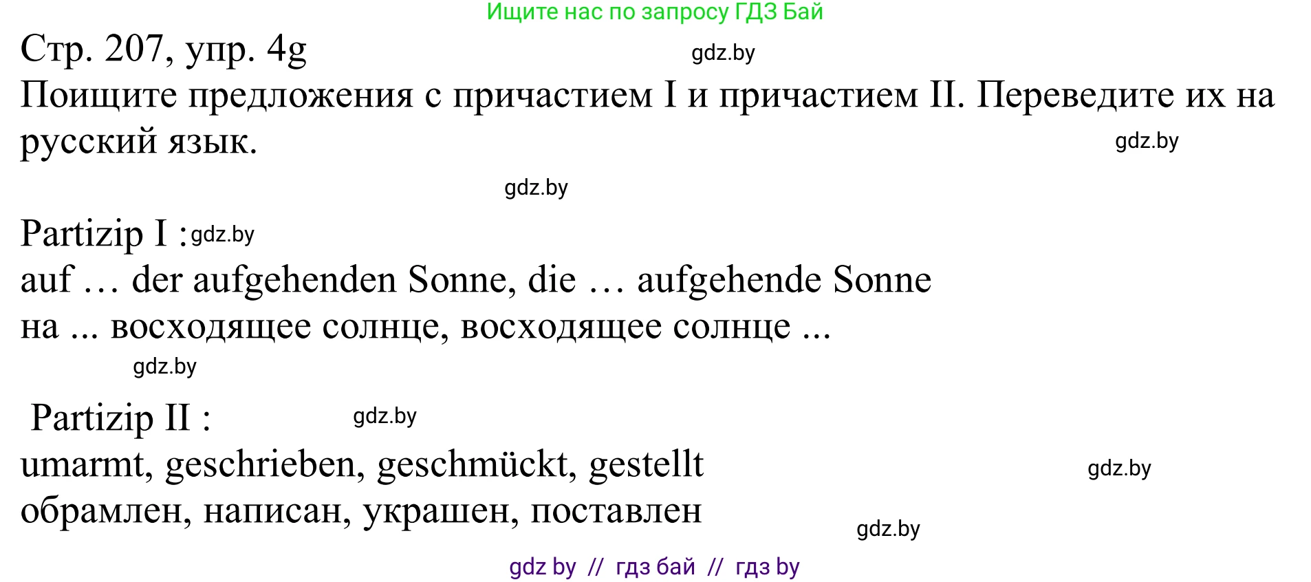 Немецкий язык (Deutsch), 11 класс Учебник (Schülerbuch), авторы: Будько Антонина Филипповна (Budjko Antonina), Урбанович Инна Ювинальевна (Urbanowitsch Ina), издательство Вышэйшая школа, Минск, 2019, бирюзового цвета, страница 207, номер 4g, Решение