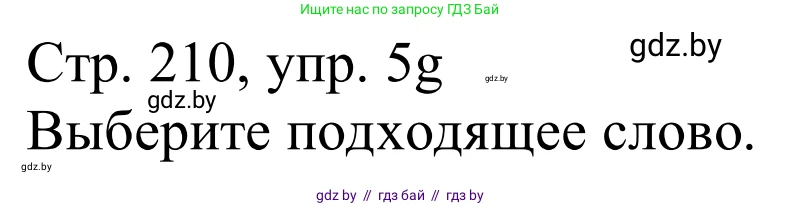Немецкий язык (Deutsch), 11 класс Учебник (Schülerbuch), авторы: Будько Антонина Филипповна (Budjko Antonina), Урбанович Инна Ювинальевна (Urbanowitsch Ina), издательство Вышэйшая школа, Минск, 2019, бирюзового цвета, страница 210, номер 5g, Решение