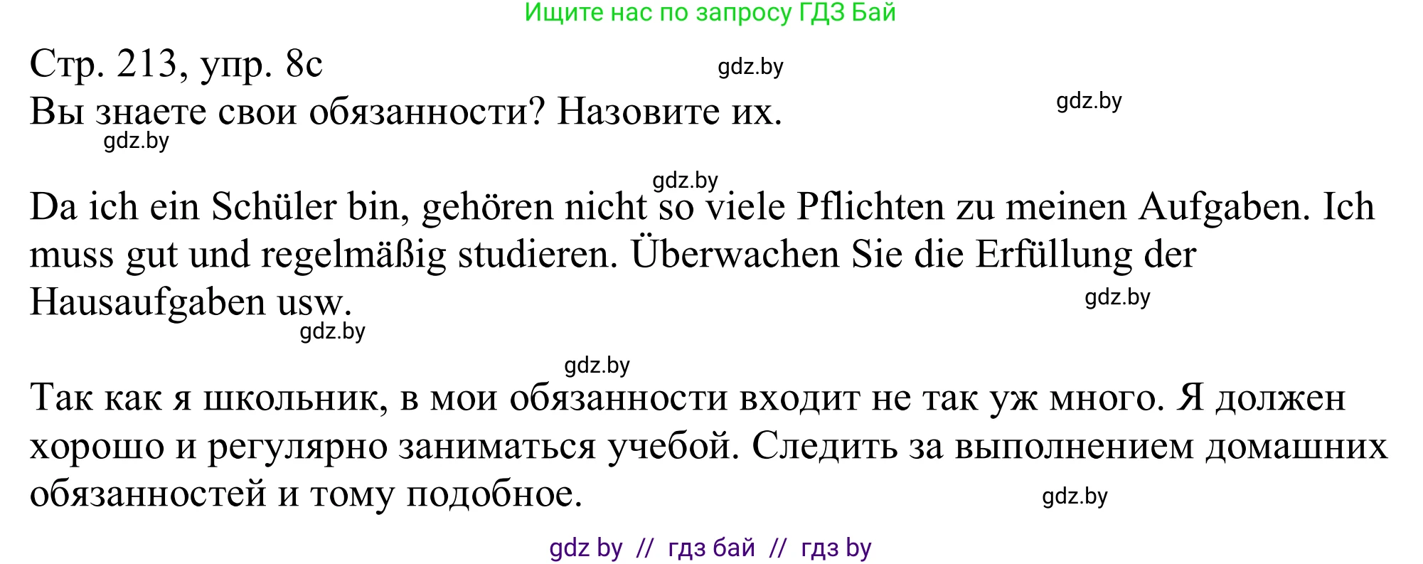 Немецкий язык (Deutsch), 11 класс Учебник (Schülerbuch), авторы: Будько Антонина Филипповна (Budjko Antonina), Урбанович Инна Ювинальевна (Urbanowitsch Ina), издательство Вышэйшая школа, Минск, 2019, бирюзового цвета, страница 213, номер 8c, Решение