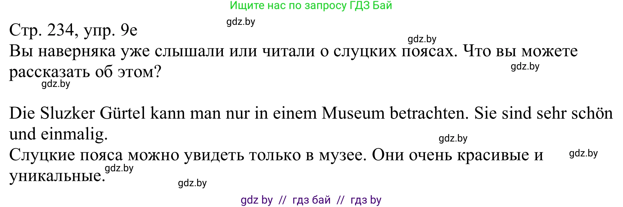 Немецкий язык (Deutsch), 11 класс Учебник (Schülerbuch), авторы: Будько Антонина Филипповна (Budjko Antonina), Урбанович Инна Ювинальевна (Urbanowitsch Ina), издательство Вышэйшая школа, Минск, 2019, бирюзового цвета, страница 234, номер 9e, Решение