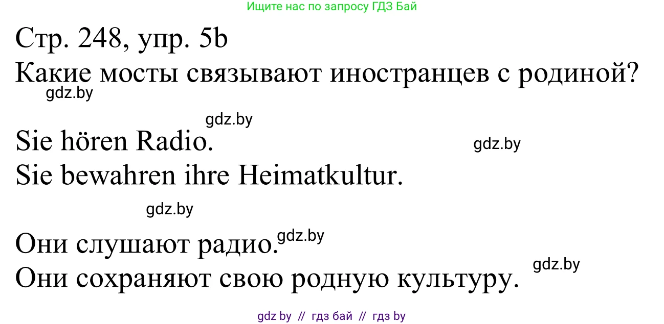 Немецкий язык (Deutsch), 11 класс Учебник (Schülerbuch), авторы: Будько Антонина Филипповна (Budjko Antonina), Урбанович Инна Ювинальевна (Urbanowitsch Ina), издательство Вышэйшая школа, Минск, 2019, бирюзового цвета, страница 248, номер 5b, Решение