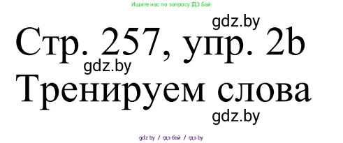 Немецкий язык (Deutsch), 11 класс Учебник (Schülerbuch), авторы: Будько Антонина Филипповна (Budjko Antonina), Урбанович Инна Ювинальевна (Urbanowitsch Ina), издательство Вышэйшая школа, Минск, 2019, бирюзового цвета, страница 257, номер 2b, Решение