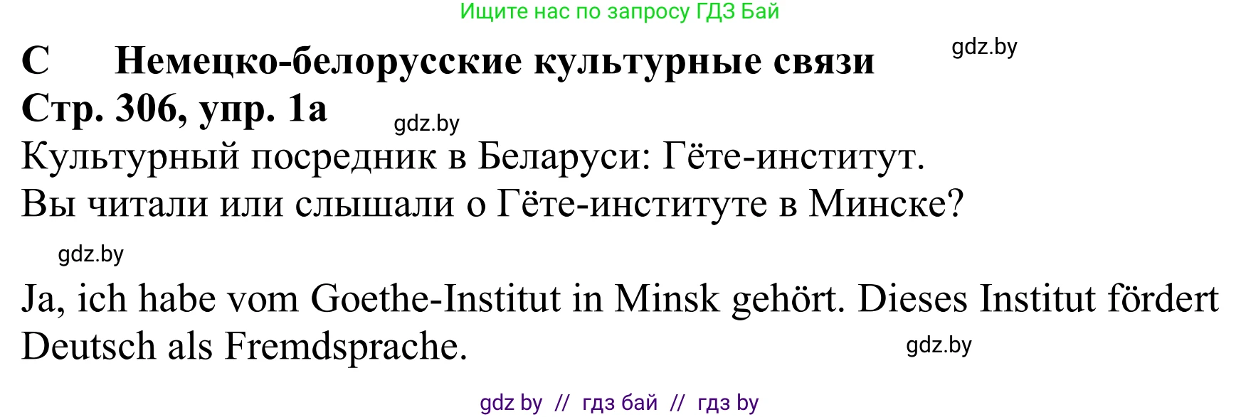 Немецкий язык (Deutsch), 11 класс Учебник (Schülerbuch), авторы: Будько Антонина Филипповна (Budjko Antonina), Урбанович Инна Ювинальевна (Urbanowitsch Ina), издательство Вышэйшая школа, Минск, 2019, бирюзового цвета, страница 306, номер 1a, Решение