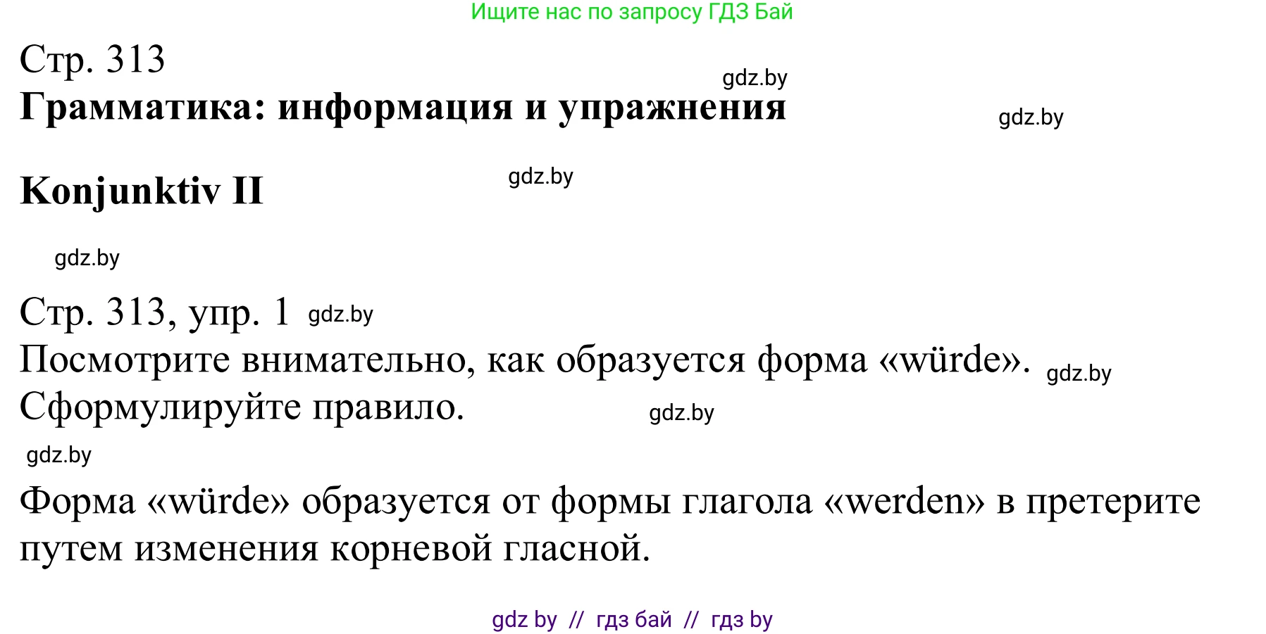 Немецкий язык (Deutsch), 11 класс Учебник (Schülerbuch), авторы: Будько Антонина Филипповна (Budjko Antonina), Урбанович Инна Ювинальевна (Urbanowitsch Ina), издательство Вышэйшая школа, Минск, 2019, бирюзового цвета, страница 313, номер 1, Решение