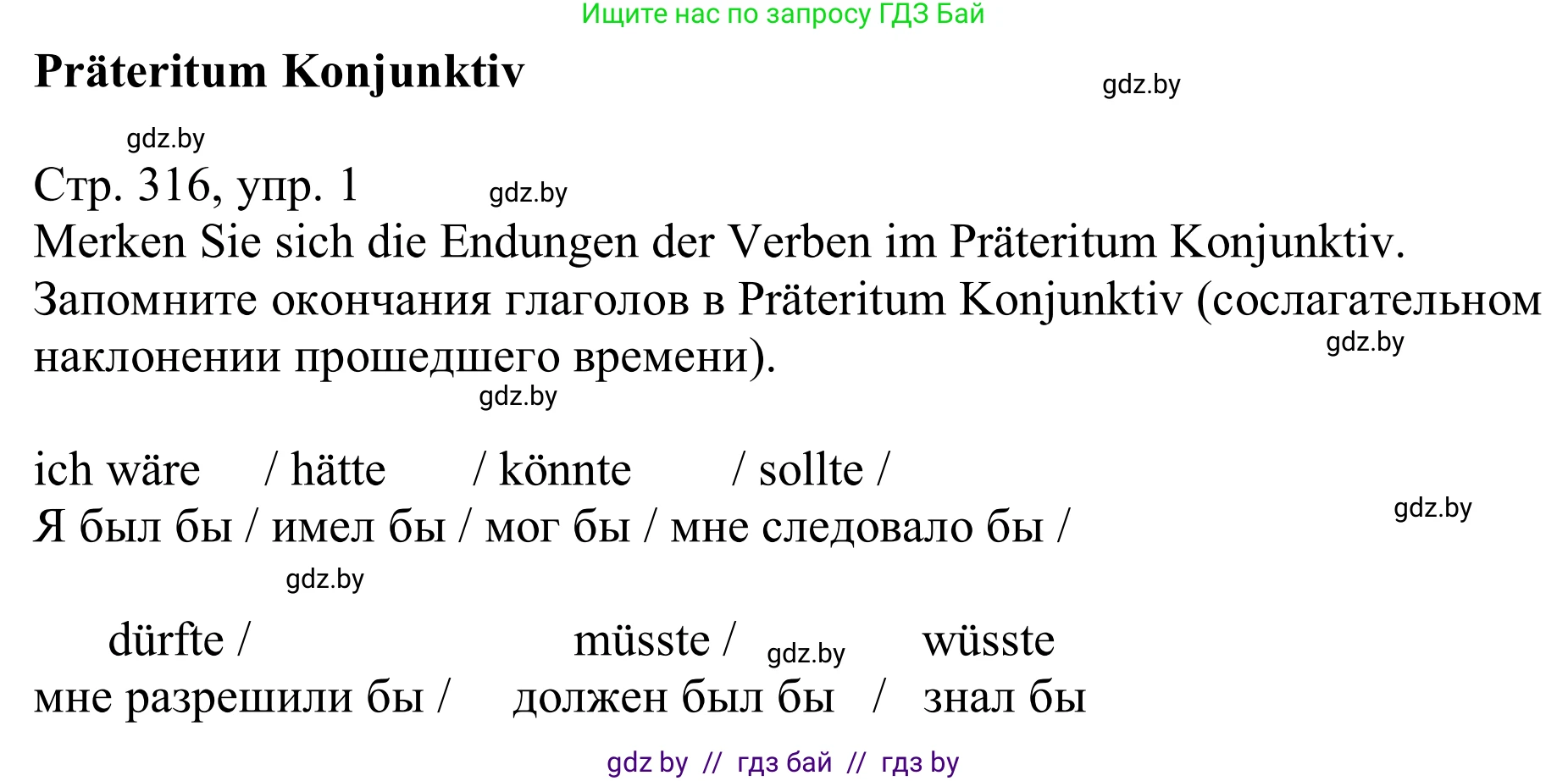 Немецкий язык (Deutsch), 11 класс Учебник (Schülerbuch), авторы: Будько Антонина Филипповна (Budjko Antonina), Урбанович Инна Ювинальевна (Urbanowitsch Ina), издательство Вышэйшая школа, Минск, 2019, бирюзового цвета, страница 316, номер 1, Решение