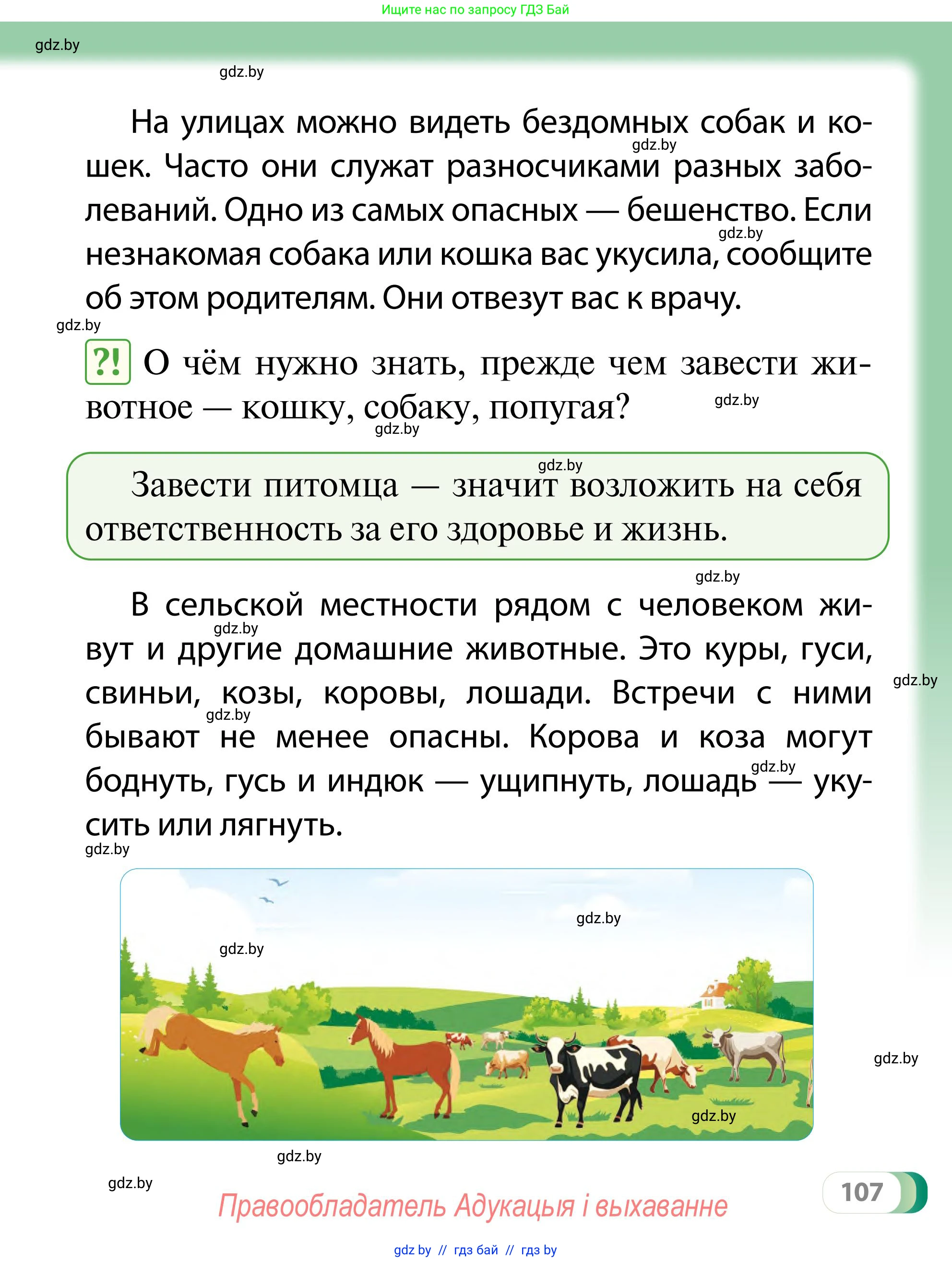 Обж, 2 класс Учебник, авторы: Аброськина Татьяна Юрьевна, Кузнецова Лилия Фёдоровна, Одновол Людмила Алексеевна, издательство Адукацыя i выхаванне, Минск, 2024, салатового цвета, страница 107