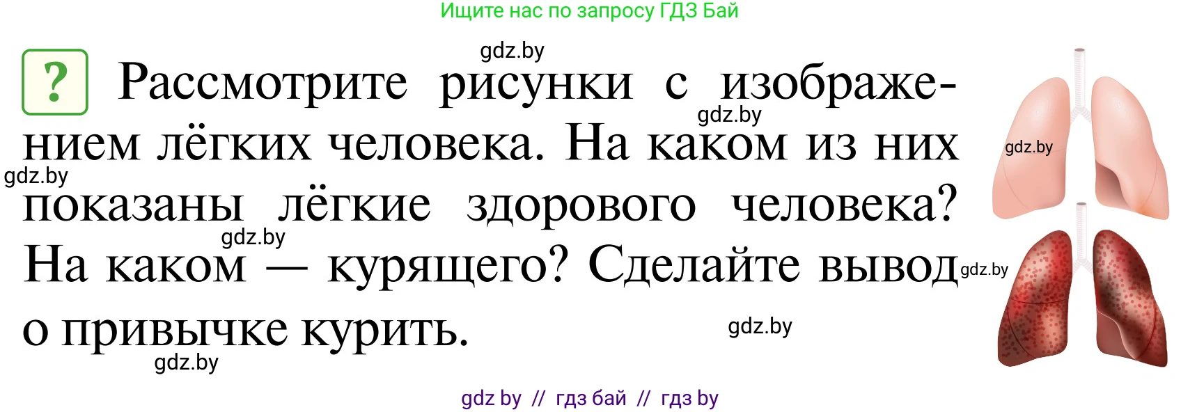 Обж, 2 класс Учебник, авторы: Аброськина Татьяна Юрьевна, Кузнецова Лилия Фёдоровна, Одновол Людмила Алексеевна, издательство Адукацыя i выхаванне, Минск, 2024, салатового цвета, страница 133, Условие