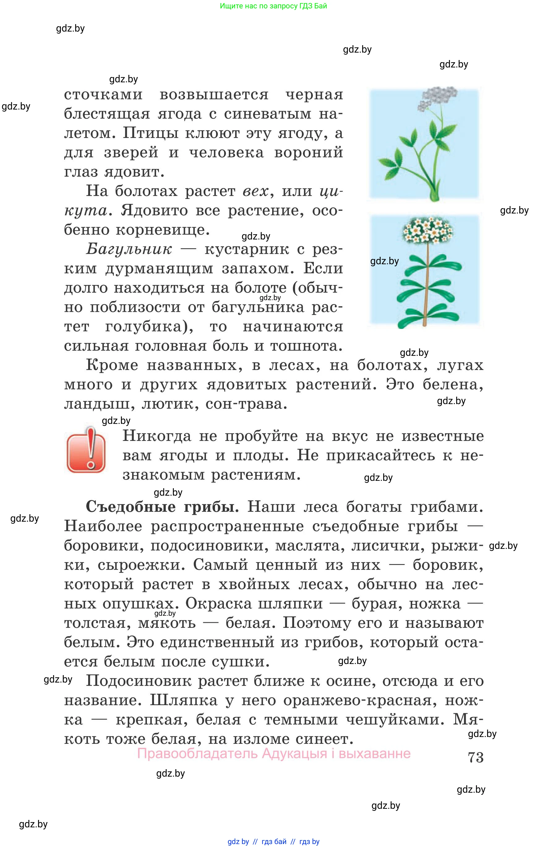 Обж, 5-6 класс Учебник, автор: Фатин Сергей Брониславович, издательство Адукацыя i выхаванне, Минск, красного цвета, страница 73