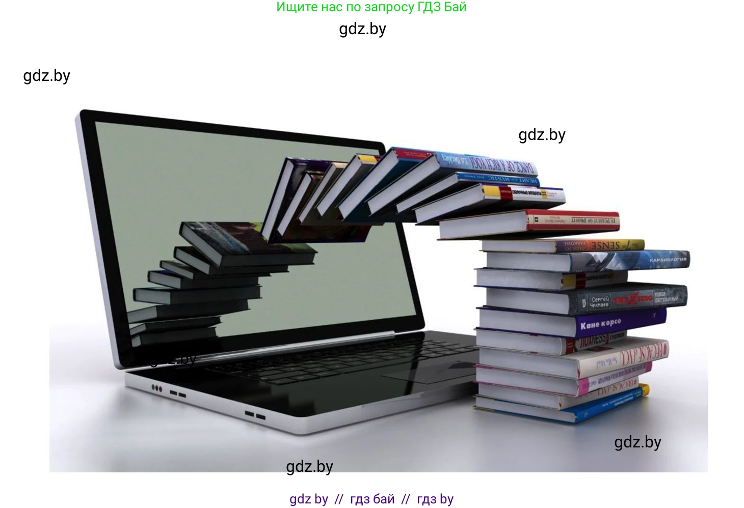 Обществоведение, 11 класс Учебник, авторы: Чуприс Ольга Ивановна, Балашенко Сергей Александрович, Денисюк Нина Павловна, Калинин С А, Киселёва Т М, Короткевич М П, Михалёва Т Н, Петоченко Т М, Побережная О Е, Подкопаев В В, Салей Е А, Шидловский А В, издательство Адукацыя i выхаванне, Минск, 2021, салатового цвета, страница 29, Решение (продолжение 3)