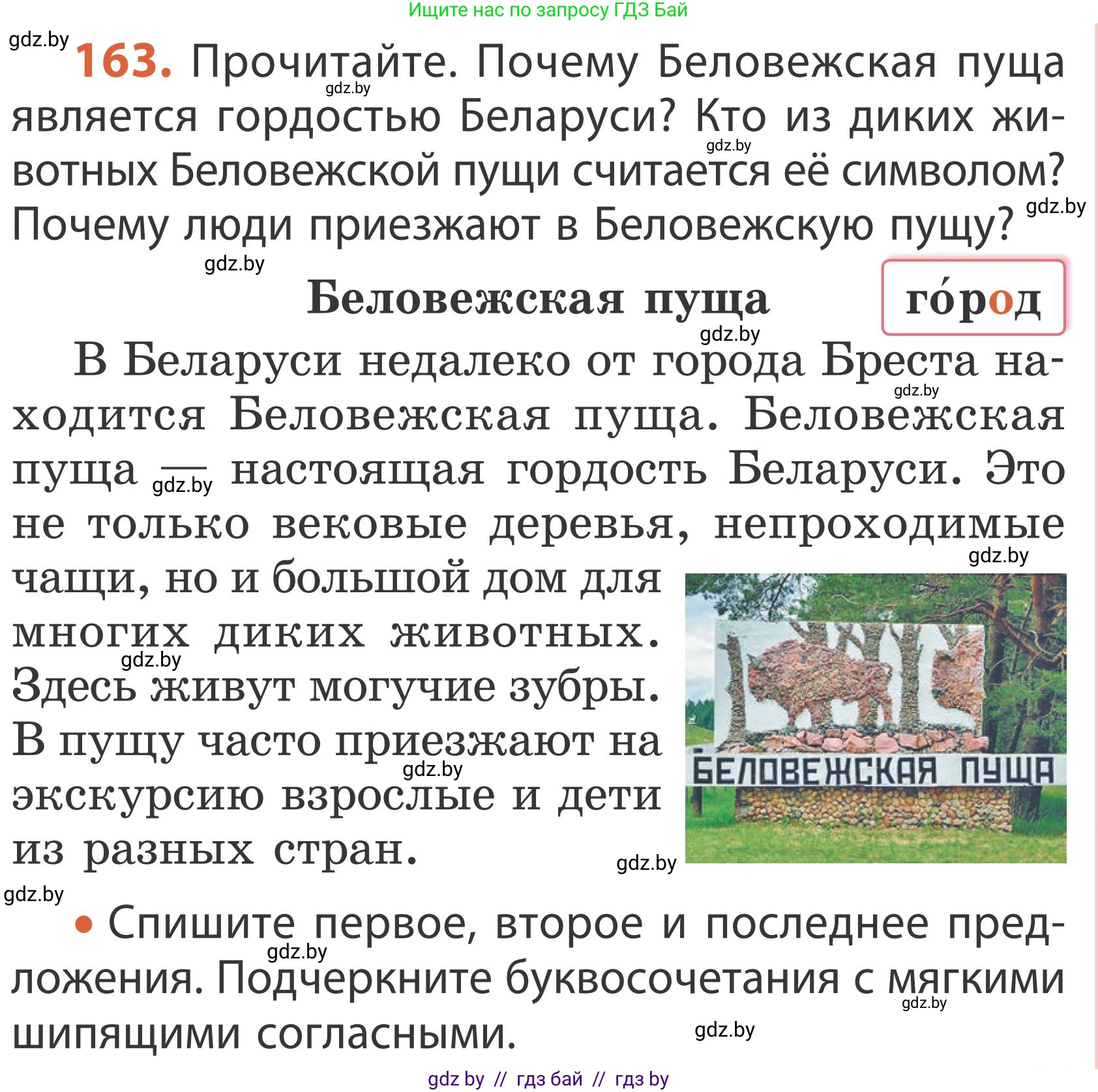 Русский язык, 2 класс Учебник, автор: Антипова Маргарита Борисовна, издательство Академия образования, Минск, 2025, Часть 1, страница 97, номер 163, Условие