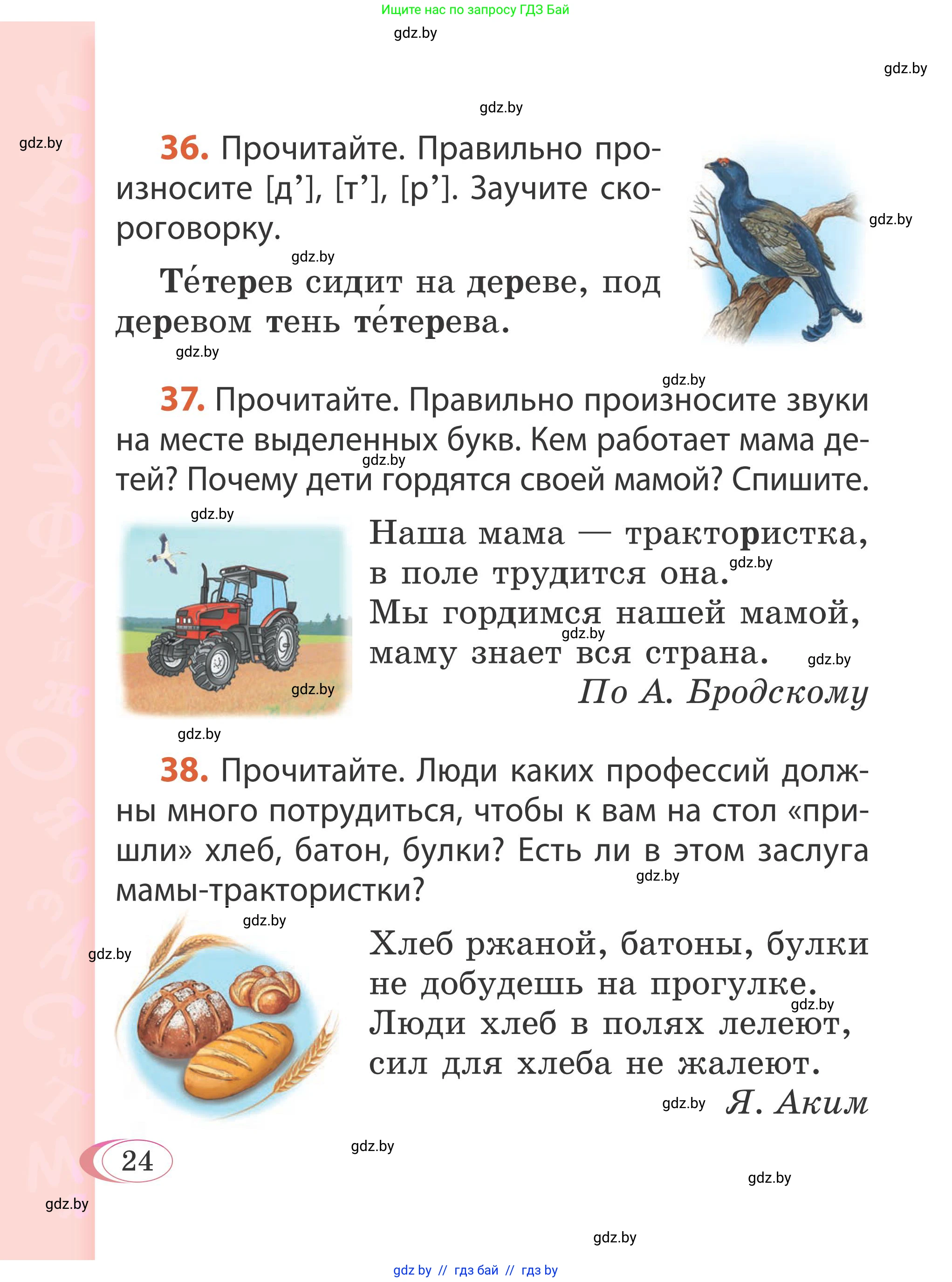 Русский язык, 2 класс Учебник, автор: Антипова Маргарита Борисовна, издательство Академия образования, Минск, 2025, Часть 1, страница 24