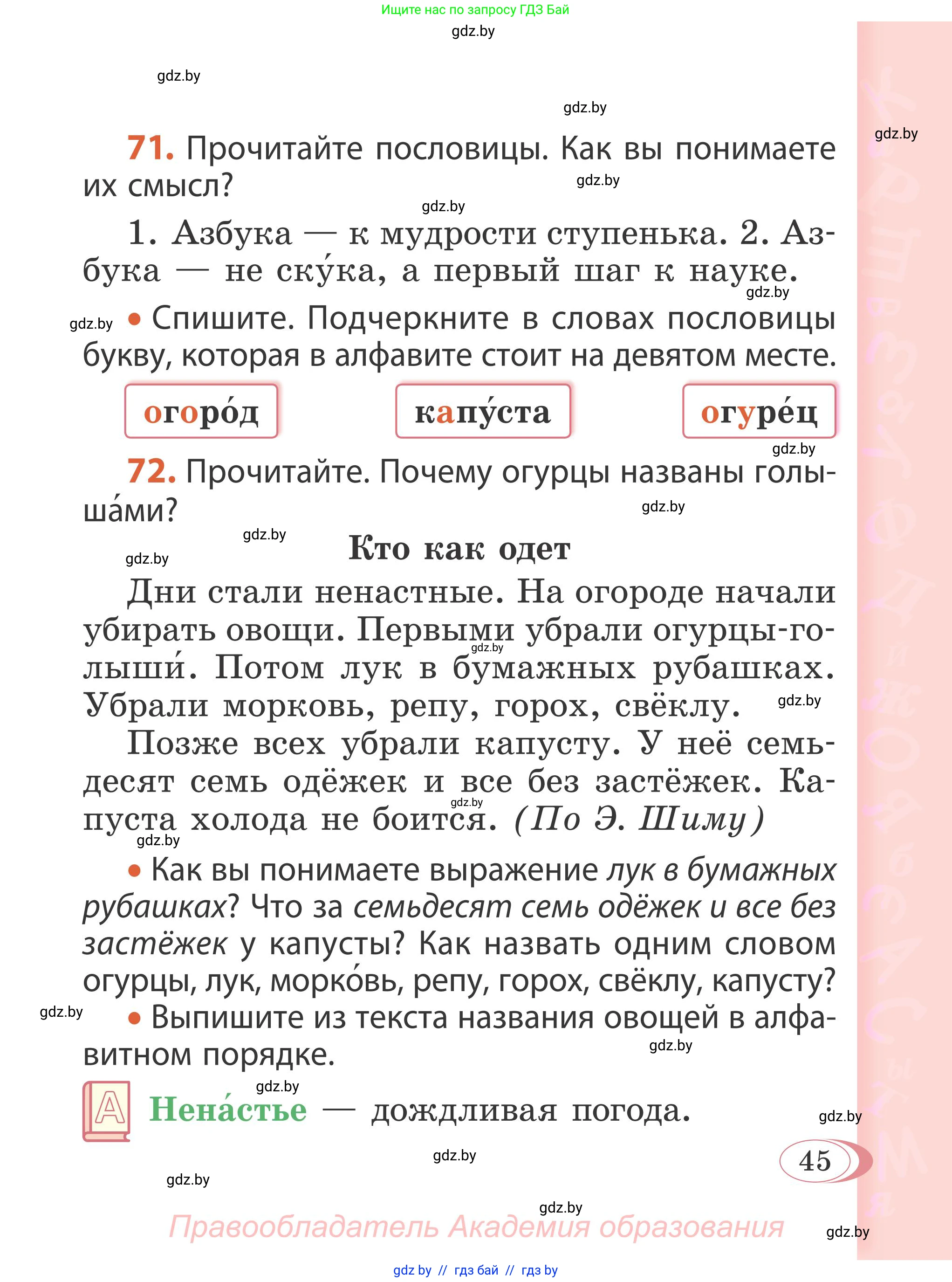 Русский язык, 2 класс Учебник, автор: Антипова Маргарита Борисовна, издательство Академия образования, Минск, 2025, Часть 1, страница 45