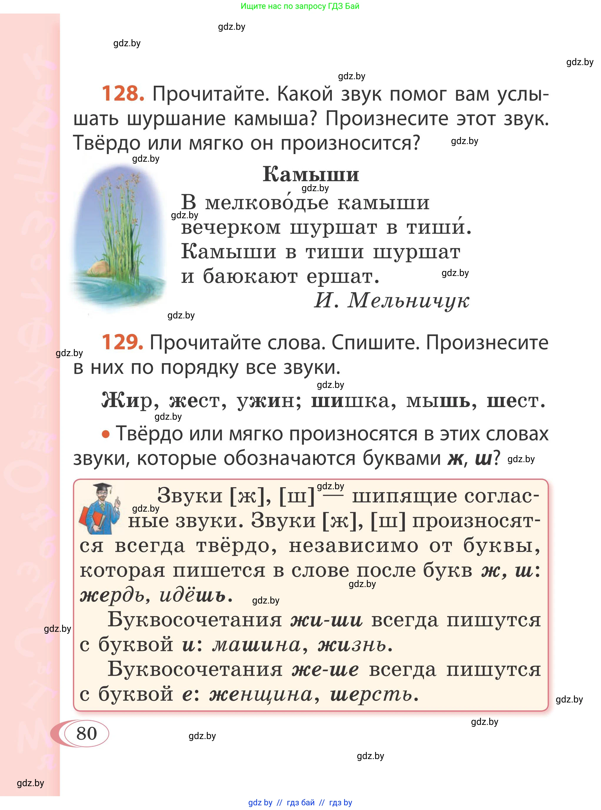 Русский язык, 2 класс Учебник, автор: Антипова Маргарита Борисовна, издательство Академия образования, Минск, 2025, Часть 1, страница 80