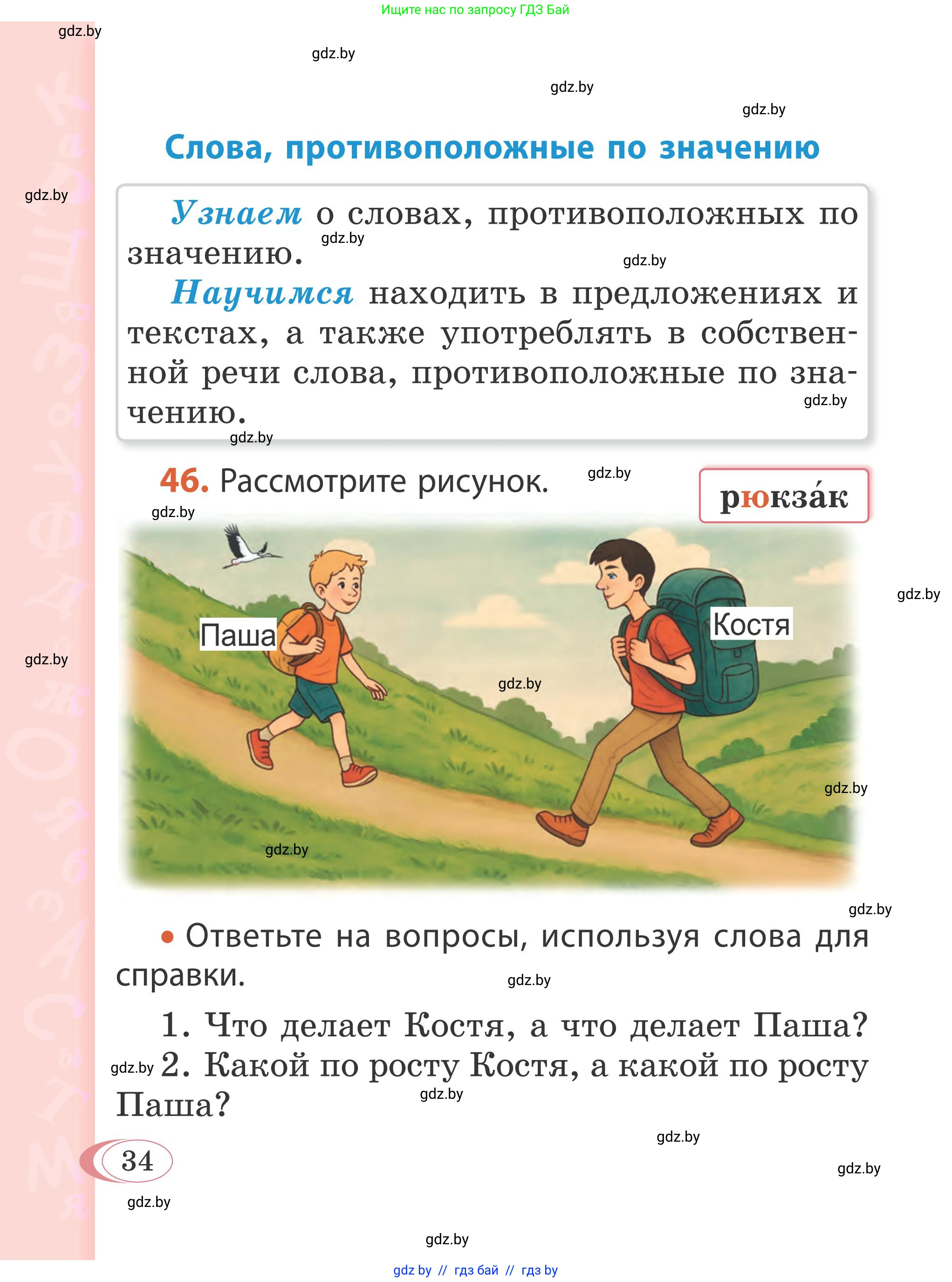 Русский язык, 2 класс Учебник, автор: Антипова Маргарита Борисовна, издательство Академия образования, Минск, 2025, Часть 2, страница 24, номер 34, Условие