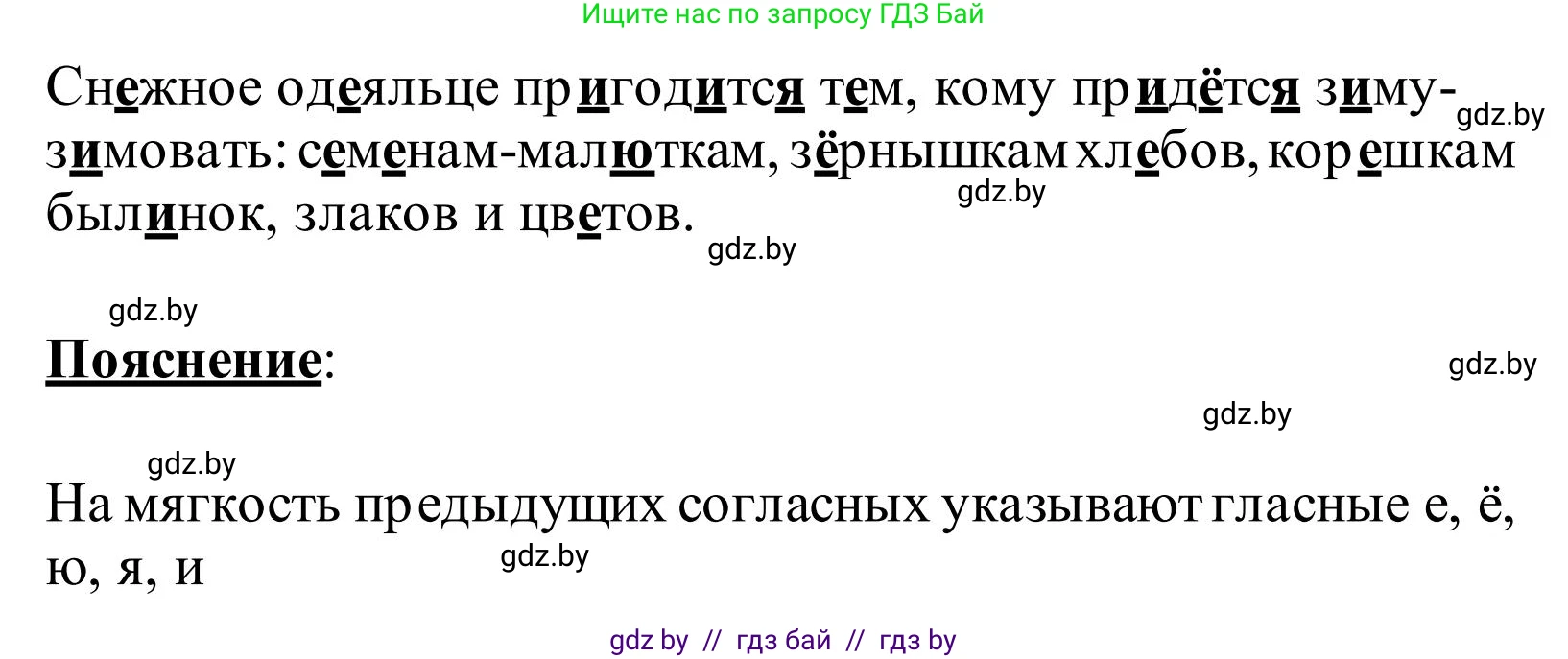Русский язык, 2 класс Учебник, автор: Антипова Маргарита Борисовна, издательство Академия образования, Минск, 2025, Часть 1, страница 72, номер 114, Решение (продолжение 2)