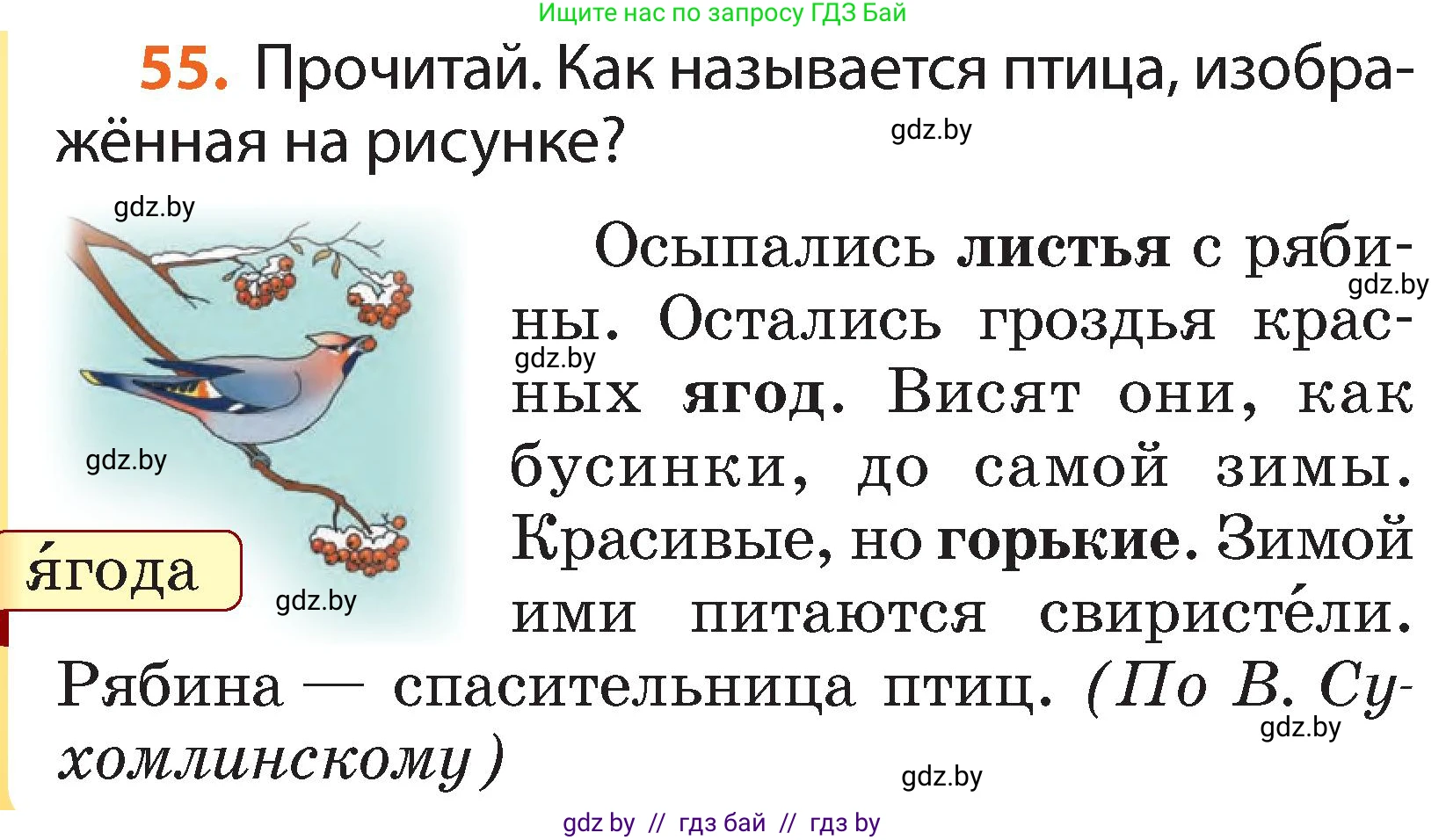 Русский язык, 2 класс Учебник, авторы: Гулецкая Елена Алексеевна, Федорович Галина Михайловна, издательство Национальный институт образования, Минск, 2022, коричневого цвета, Часть 1, страница 38, номер 55, Условие