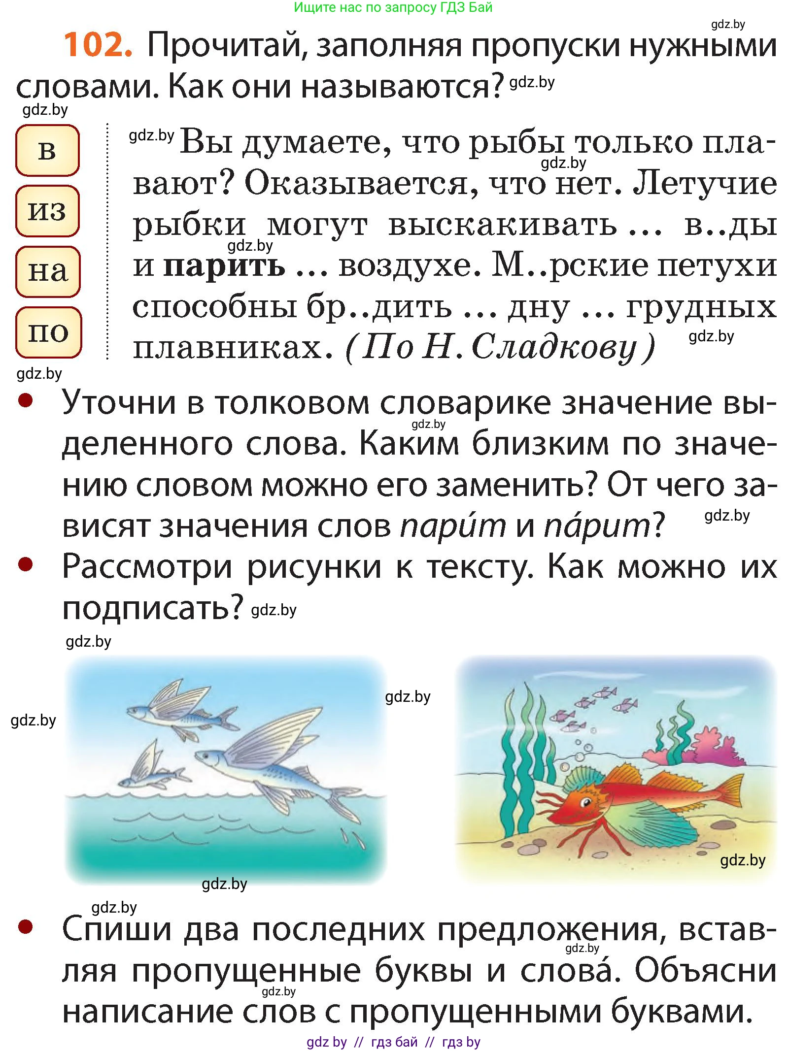 Русский язык, 2 класс Учебник, авторы: Гулецкая Елена Алексеевна, Федорович Галина Михайловна, издательство Национальный институт образования, Минск, 2022, коричневого цвета, Часть 2, страница 76, номер 102, Условие