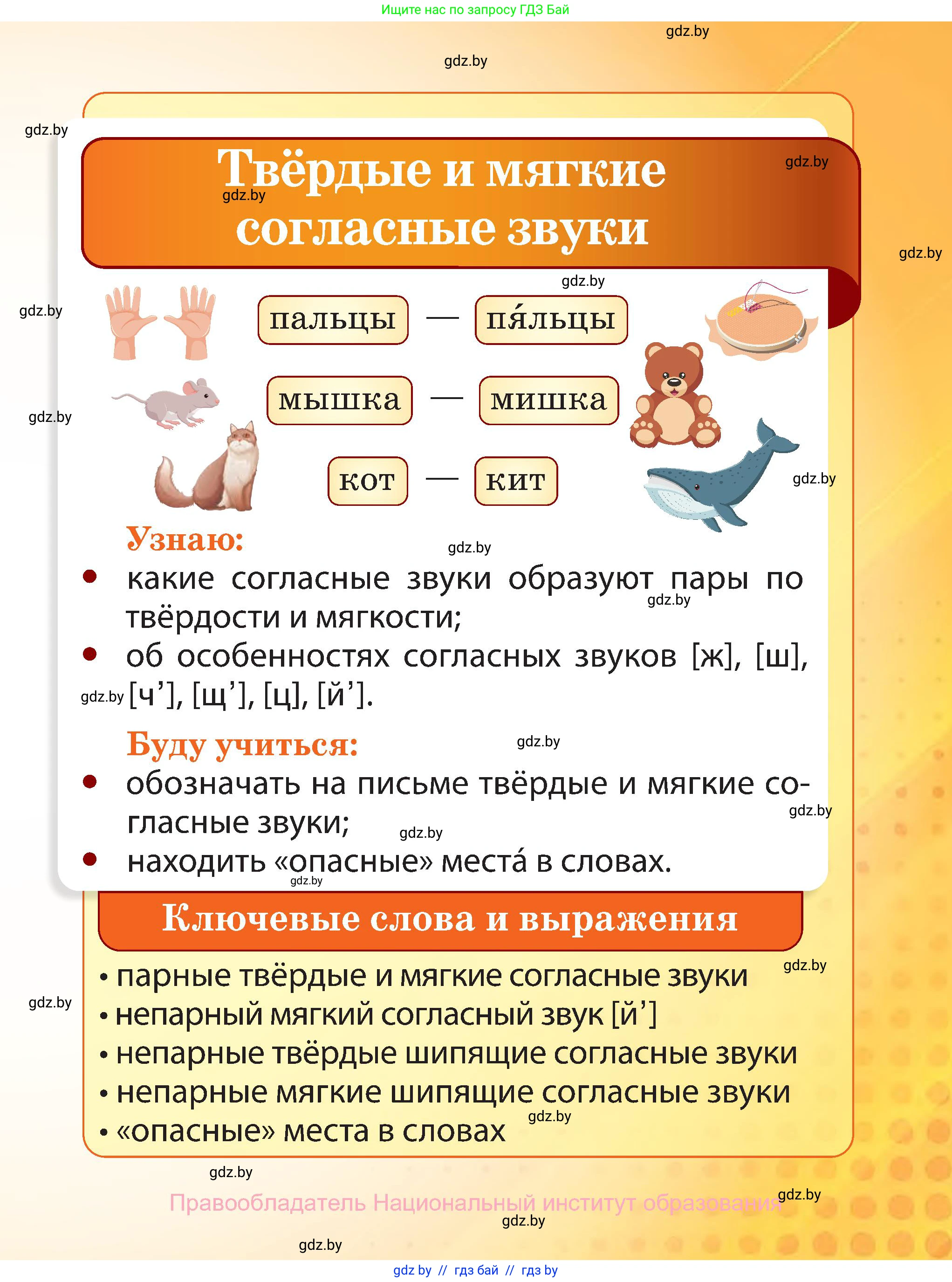 Русский язык, 2 класс Учебник, авторы: Гулецкая Елена Алексеевна, Федорович Галина Михайловна, издательство Национальный институт образования, Минск, 2022, коричневого цвета, страница 41