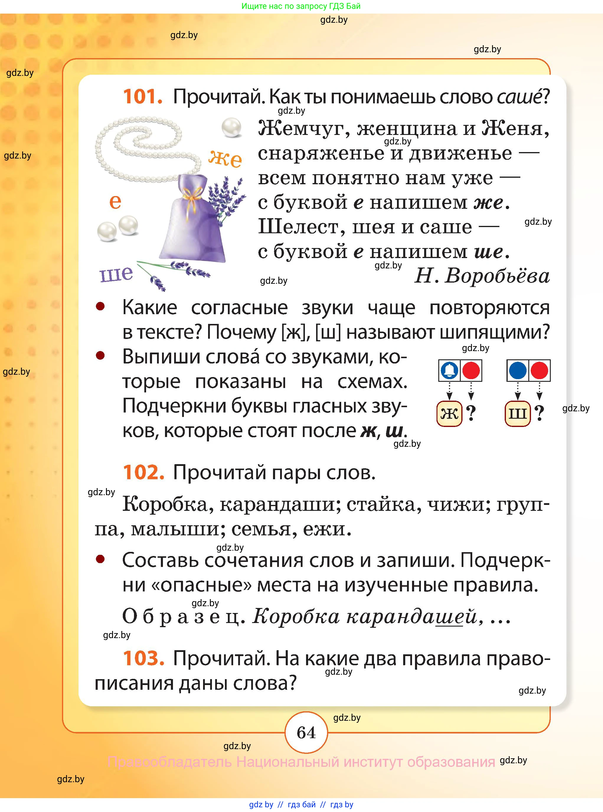 Русский язык, 2 класс Учебник, авторы: Гулецкая Елена Алексеевна, Федорович Галина Михайловна, издательство Национальный институт образования, Минск, 2022, коричневого цвета, Часть 1, страница 64