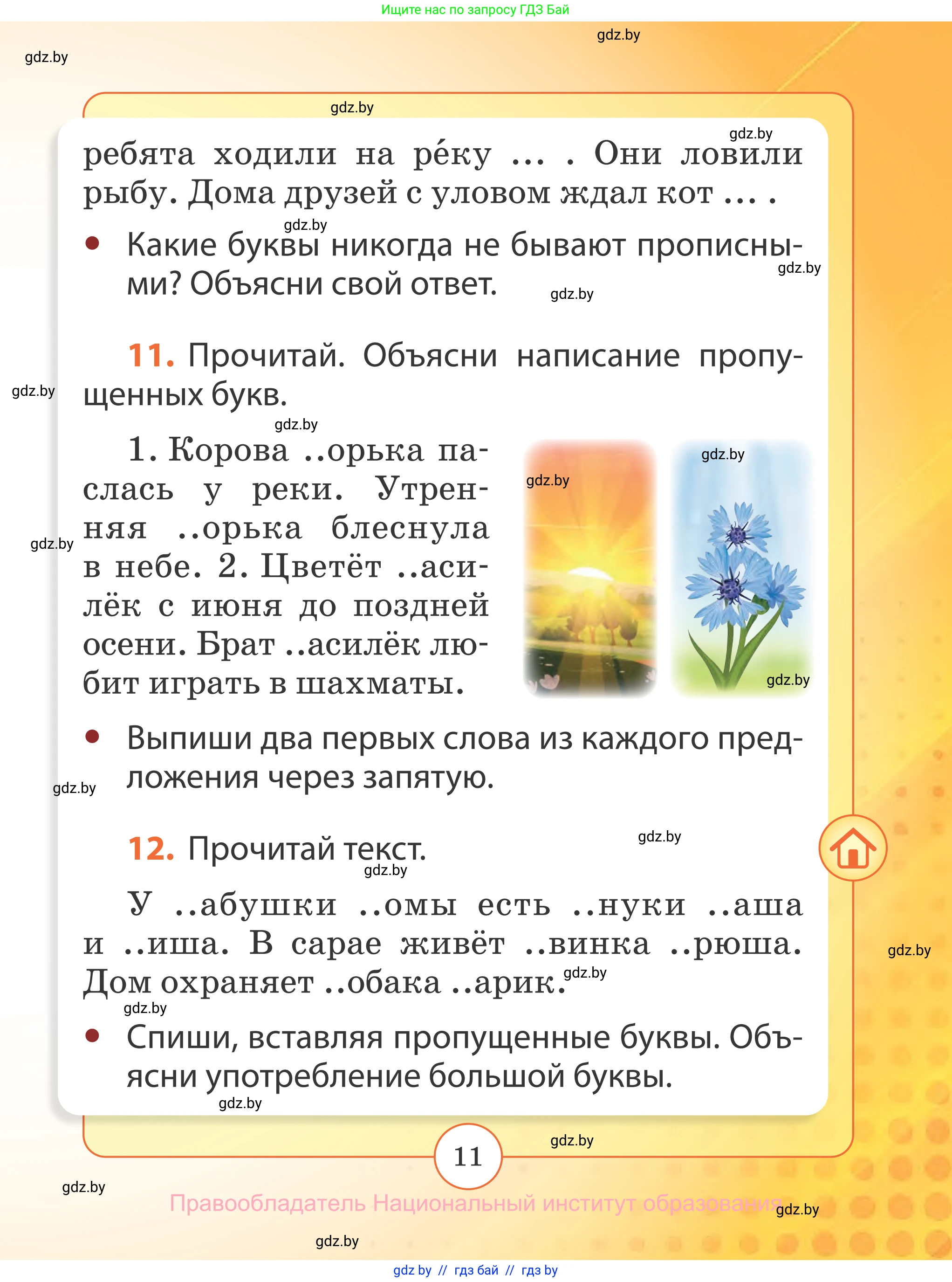 Русский язык, 2 класс Учебник, авторы: Гулецкая Елена Алексеевна, Федорович Галина Михайловна, издательство Национальный институт образования, Минск, 2022, коричневого цвета, Часть 2, страница 11