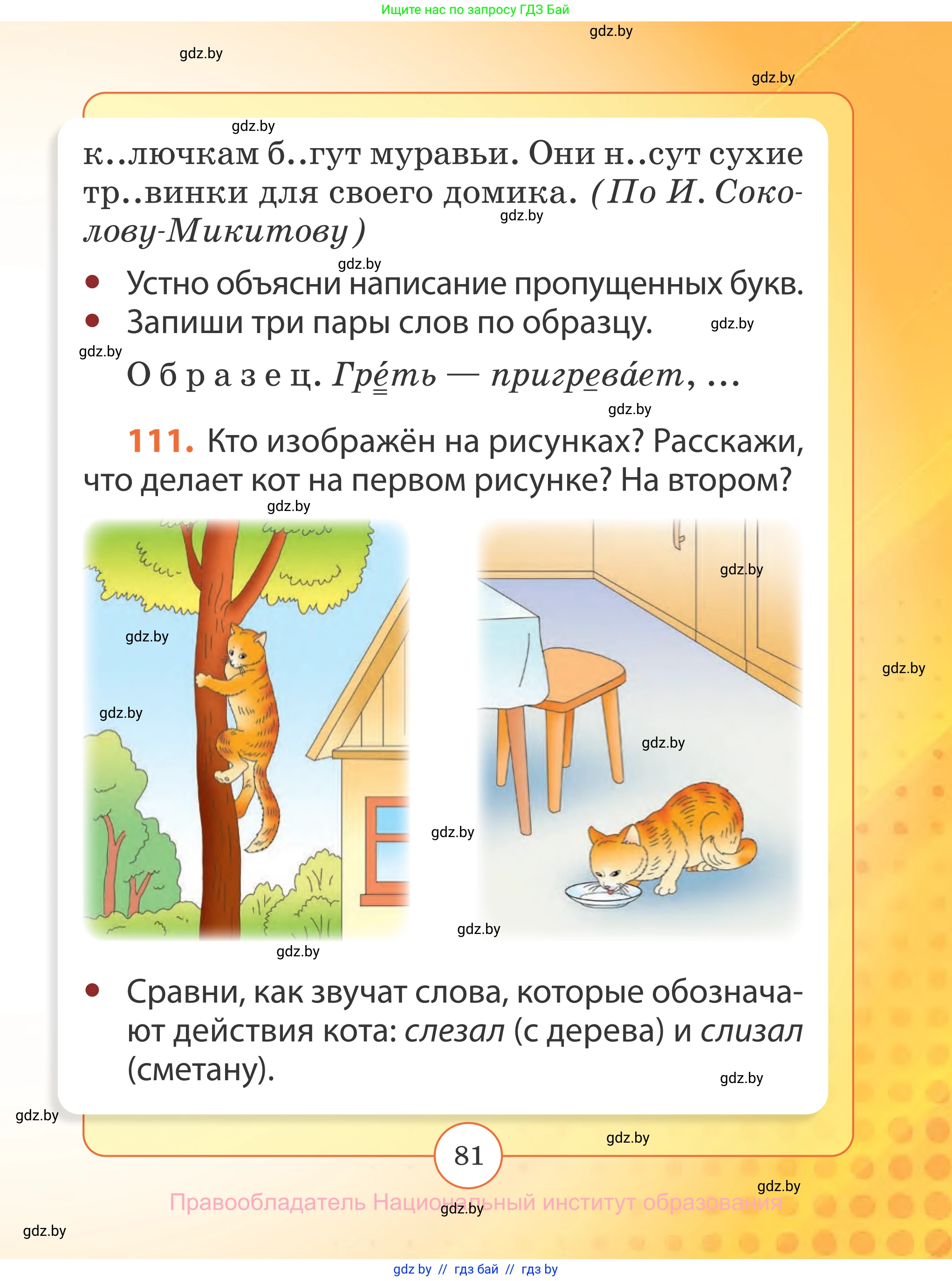 Русский язык, 2 класс Учебник, авторы: Гулецкая Елена Алексеевна, Федорович Галина Михайловна, издательство Национальный институт образования, Минск, 2022, коричневого цвета, Часть 2, страница 81