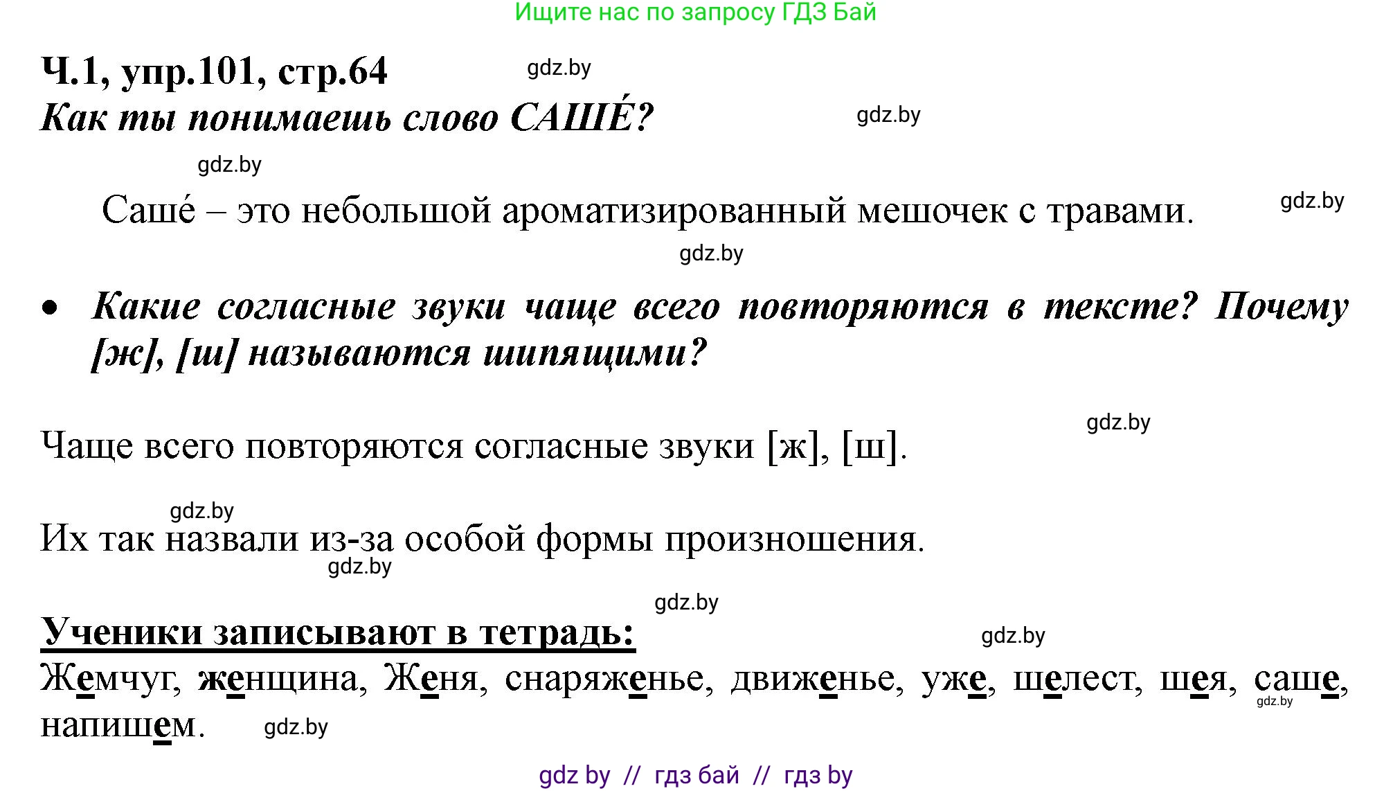 Русский язык, 2 класс Учебник, авторы: Гулецкая Елена Алексеевна, Федорович Галина Михайловна, издательство Национальный институт образования, Минск, 2022, коричневого цвета, Часть 1, страница 64, номер 101, Решение