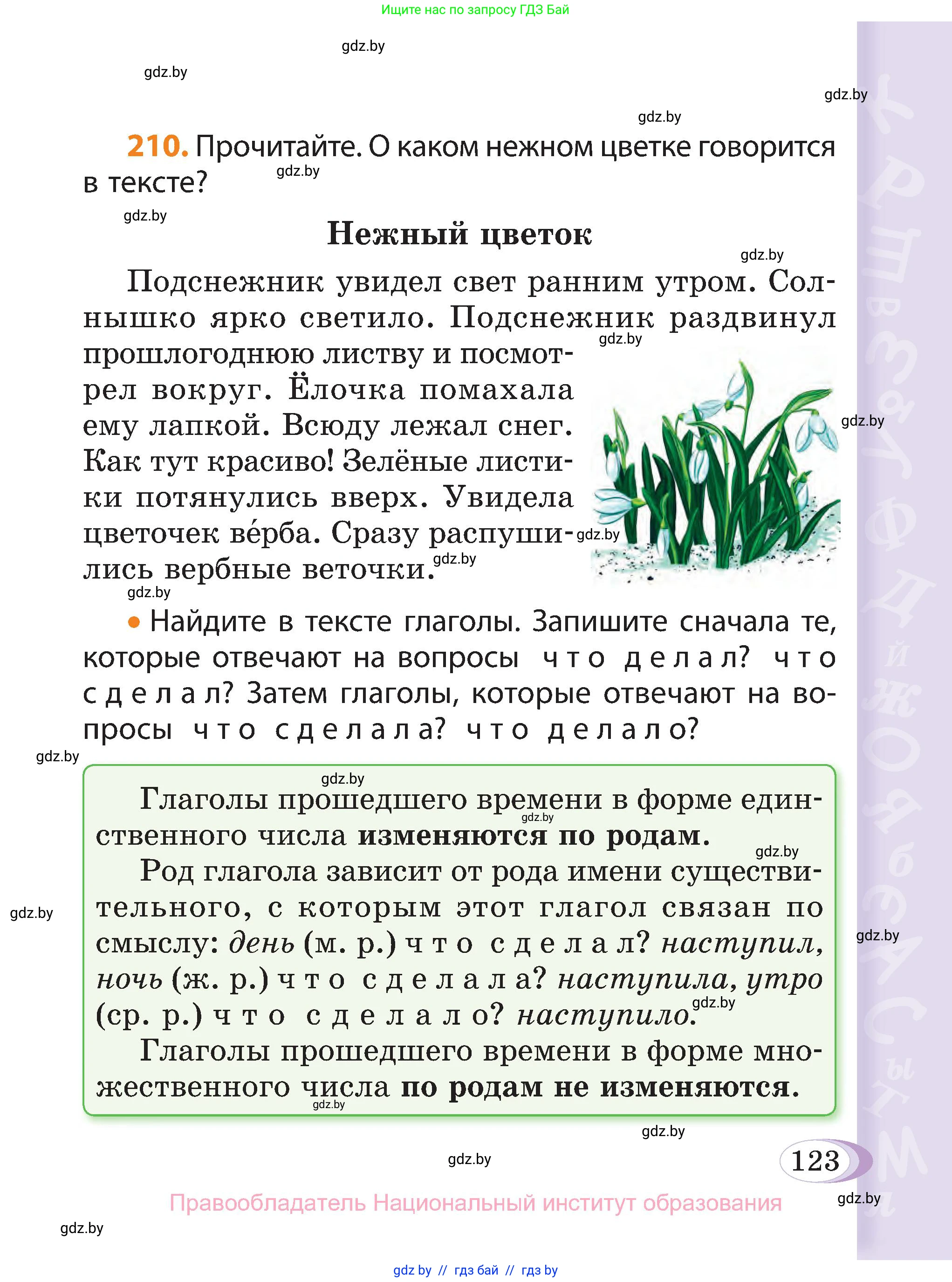 Русский язык, 3 класс Учебник, авторы: Антипова Маргарита Борисовна, Верниковская Алла Викторовна, Грабчикова Елена Самарьевна, издательство Национальный институт образования, Минск, 2023, Часть 2, страница 123