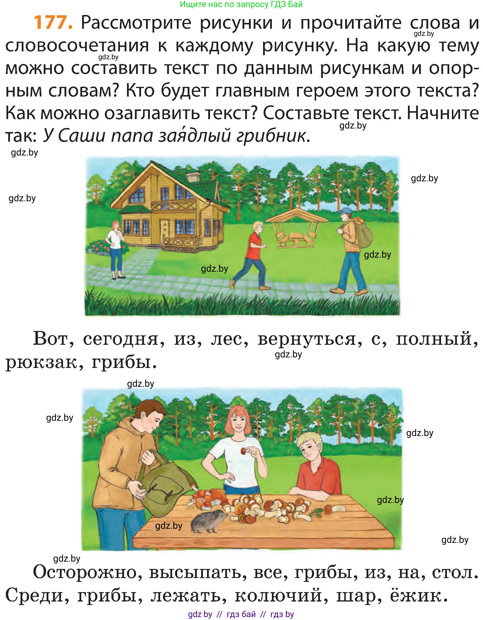 Русский язык, 3 класс Учебник, авторы: Антипова Маргарита Борисовна, Верниковская Алла Викторовна, Грабчикова Елена Самарьевна, издательство Национальный институт образования, Минск, 2023, Часть 2, страница 101, номер 177, Условие