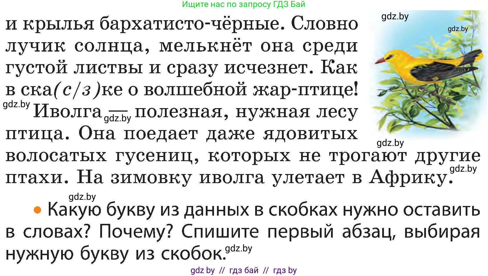 Русский язык, 3 класс Учебник, авторы: Антипова Маргарита Борисовна, Верниковская Алла Викторовна, Грабчикова Елена Самарьевна, издательство Национальный институт образования, Минск, 2023, Часть 2, страница 24, номер 41, Условие (продолжение 2)