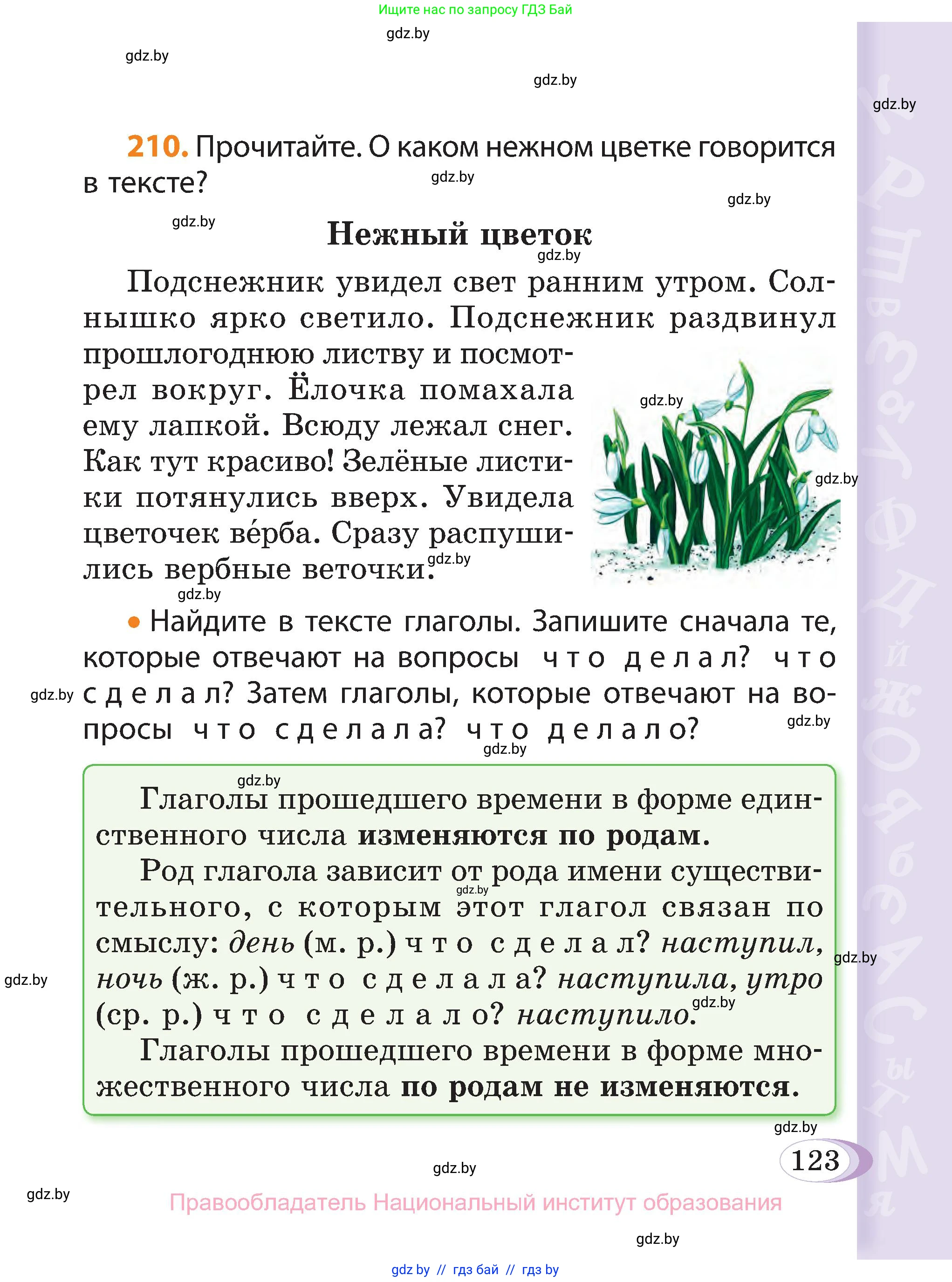 Русский язык, 3 класс Учебник, авторы: Антипова Маргарита Борисовна, Верниковская Алла Викторовна, Грабчикова Елена Самарьевна, издательство Национальный институт образования, Минск, 2023, Часть 2, страница 123