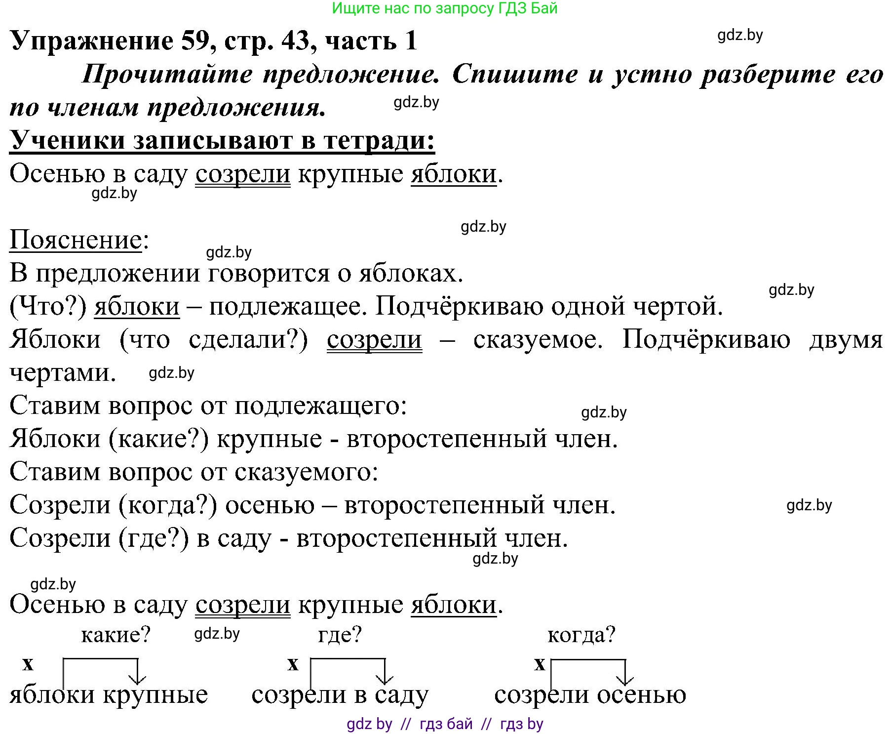 Русский язык, 3 класс Учебник, авторы: Антипова Маргарита Борисовна, Верниковская Алла Викторовна, Грабчикова Елена Самарьевна, издательство Национальный институт образования, Минск, 2023, Часть 1, страница 43, номер 59, Решение