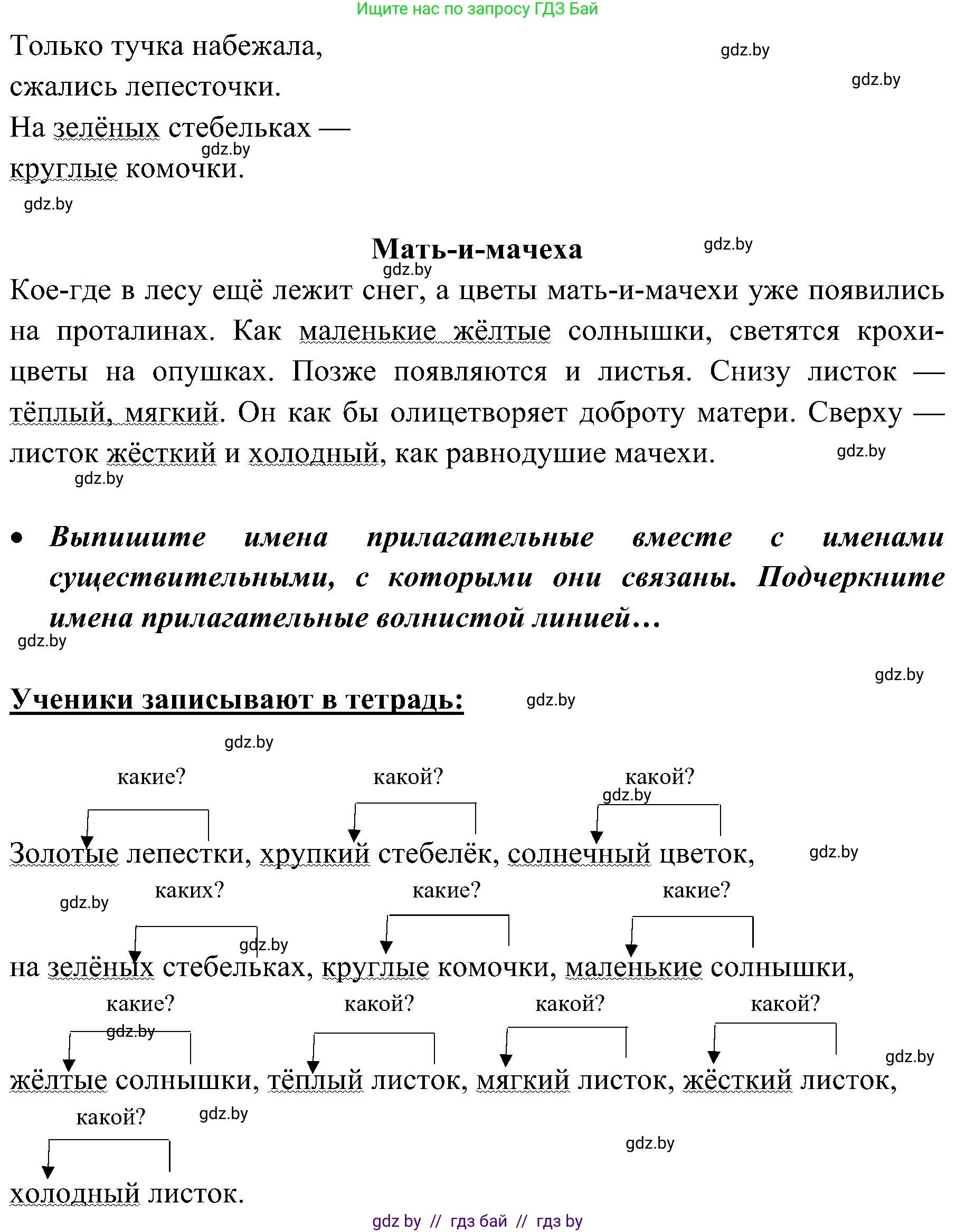 Русский язык, 3 класс Учебник, авторы: Антипова Маргарита Борисовна, Верниковская Алла Викторовна, Грабчикова Елена Самарьевна, издательство Национальный институт образования, Минск, 2023, Часть 2, страница 84, номер 151, Решение (продолжение 2)