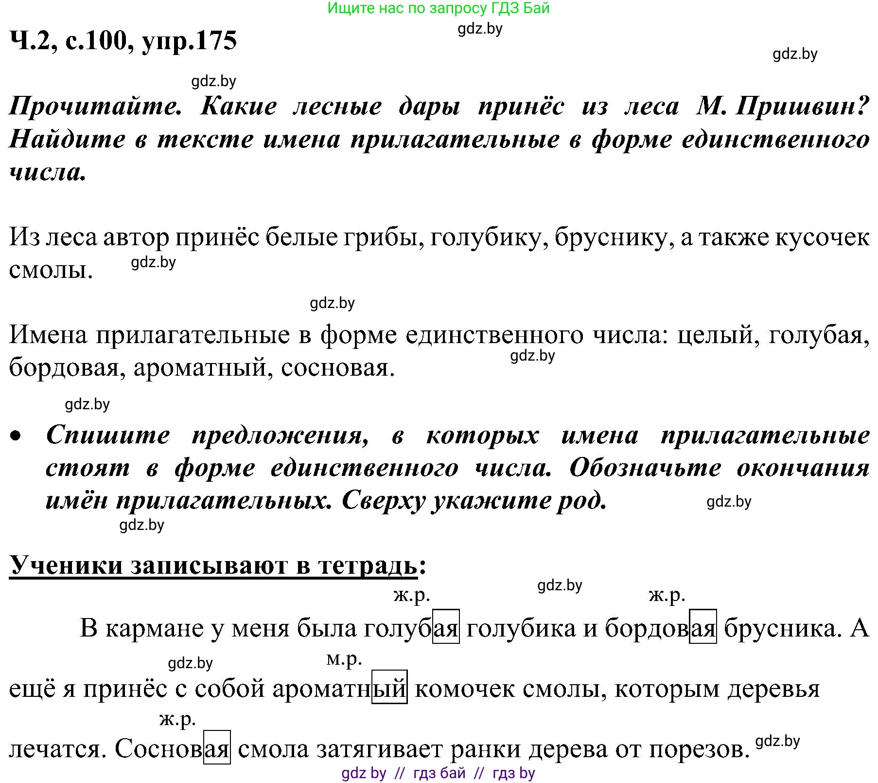 Русский язык, 3 класс Учебник, авторы: Антипова Маргарита Борисовна, Верниковская Алла Викторовна, Грабчикова Елена Самарьевна, издательство Национальный институт образования, Минск, 2023, Часть 2, страница 100, номер 175, Решение