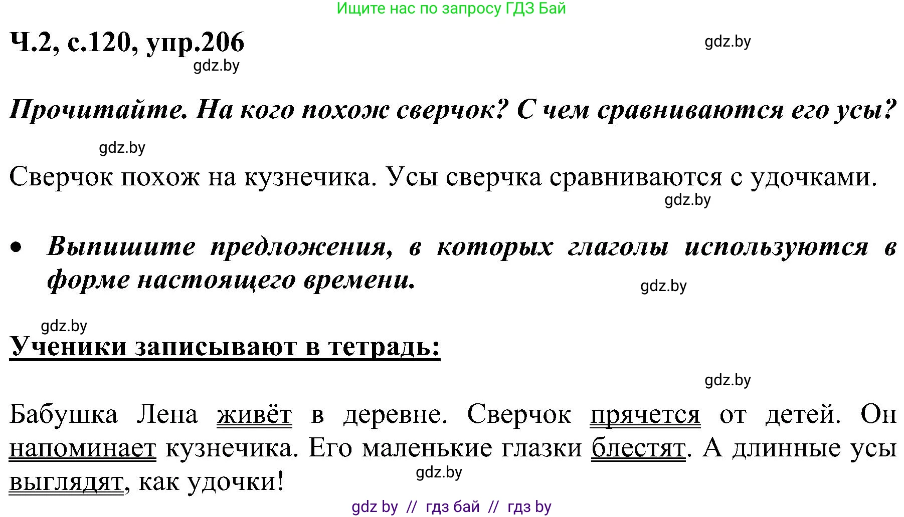 Русский язык, 3 класс Учебник, авторы: Антипова Маргарита Борисовна, Верниковская Алла Викторовна, Грабчикова Елена Самарьевна, издательство Национальный институт образования, Минск, 2023, Часть 2, страница 120, номер 206, Решение