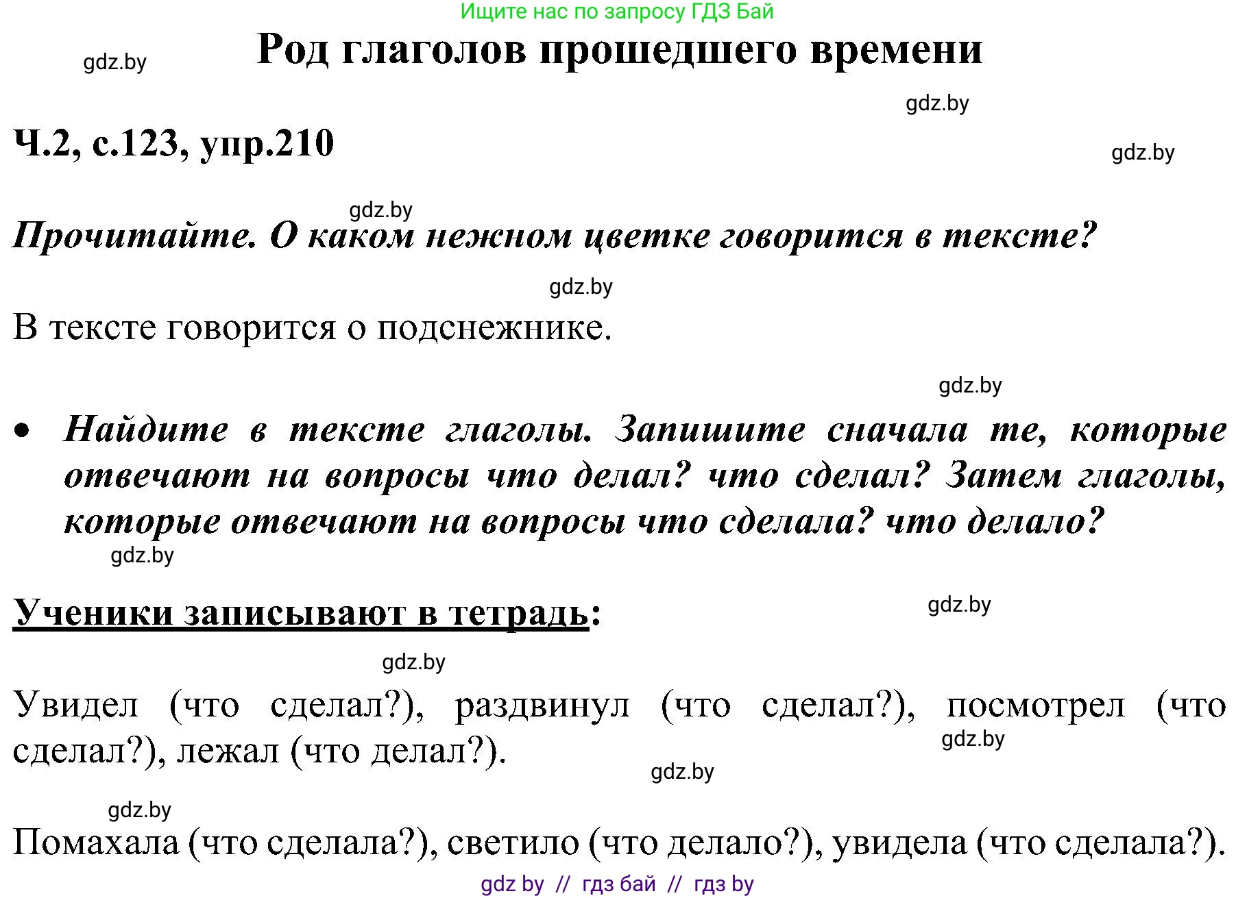 Русский язык, 3 класс Учебник, авторы: Антипова Маргарита Борисовна, Верниковская Алла Викторовна, Грабчикова Елена Самарьевна, издательство Национальный институт образования, Минск, 2023, Часть 2, страница 123, номер 210, Решение