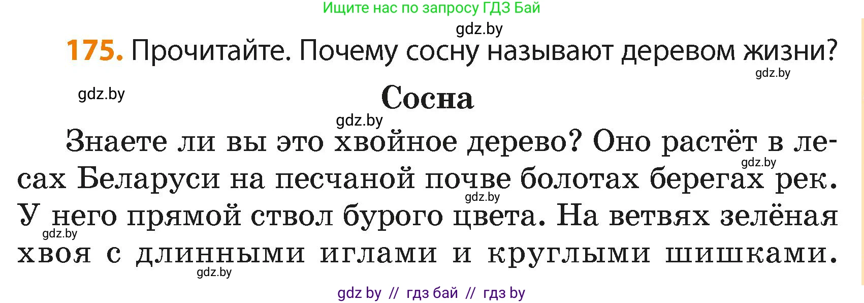Русский язык, 4 класс Учебник, авторы: Антипова Маргарита Борисовна, Верниковская Алла Викторовна, Грабчикова Елена Самарьевна, издательство Академия образования, Минск, 2024, оранжевого цвета, Часть 2, страница 105, номер 175, Условие