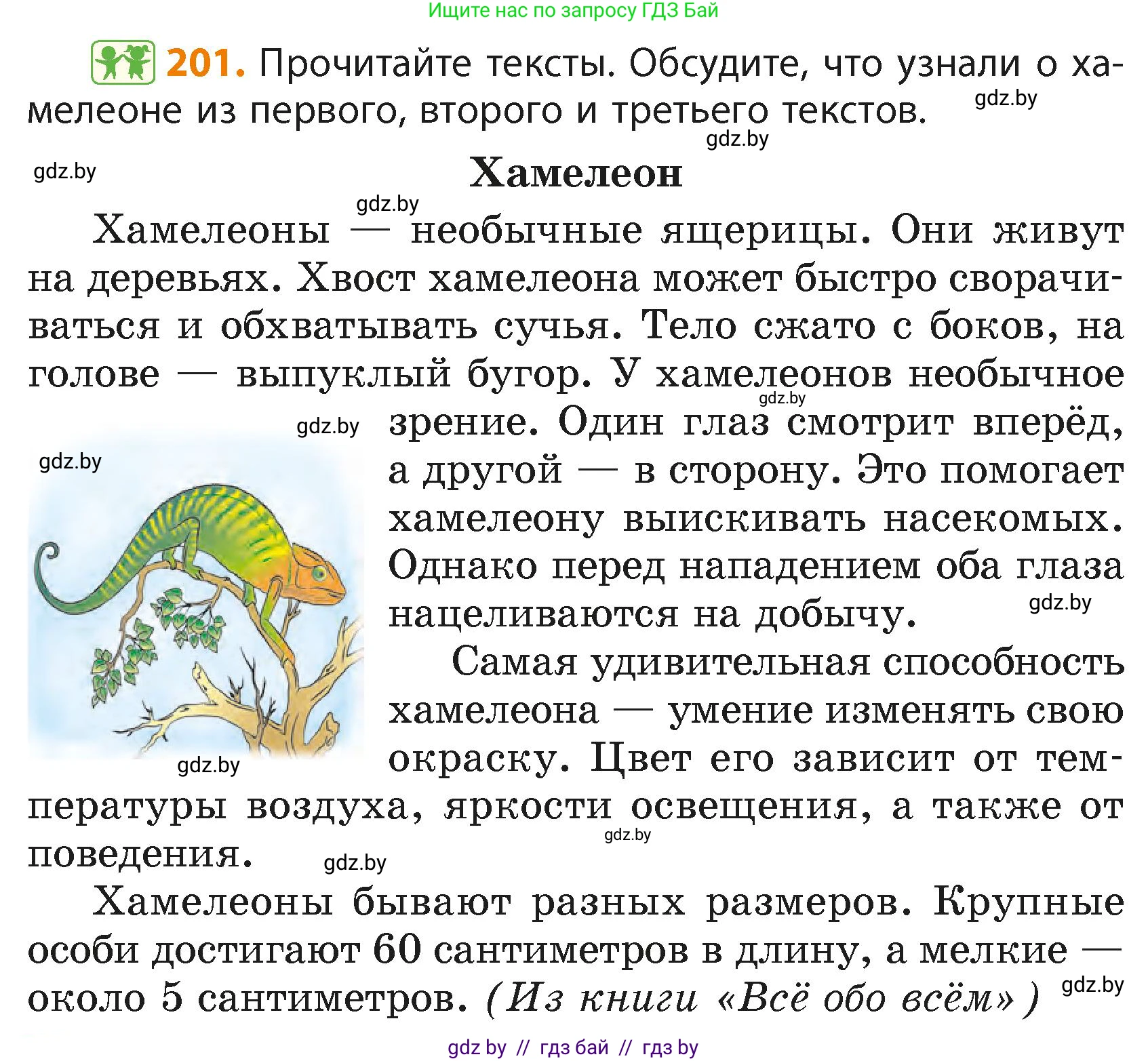 Русский язык, 4 класс Учебник, авторы: Антипова Маргарита Борисовна, Верниковская Алла Викторовна, Грабчикова Елена Самарьевна, издательство Академия образования, Минск, 2024, оранжевого цвета, Часть 2, страница 120, номер 201, Условие