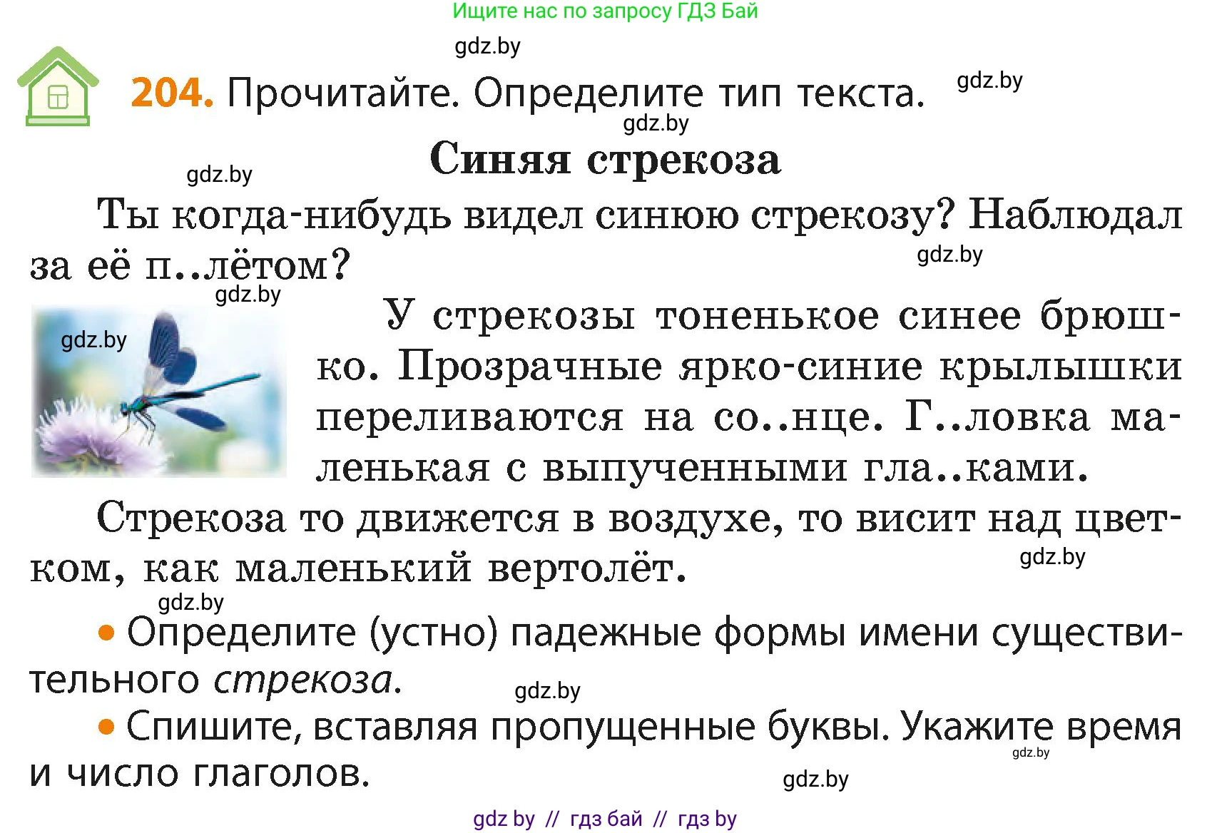 Русский язык, 4 класс Учебник, авторы: Антипова Маргарита Борисовна, Верниковская Алла Викторовна, Грабчикова Елена Самарьевна, издательство Академия образования, Минск, 2024, оранжевого цвета, Часть 2, страница 124, номер 204, Условие