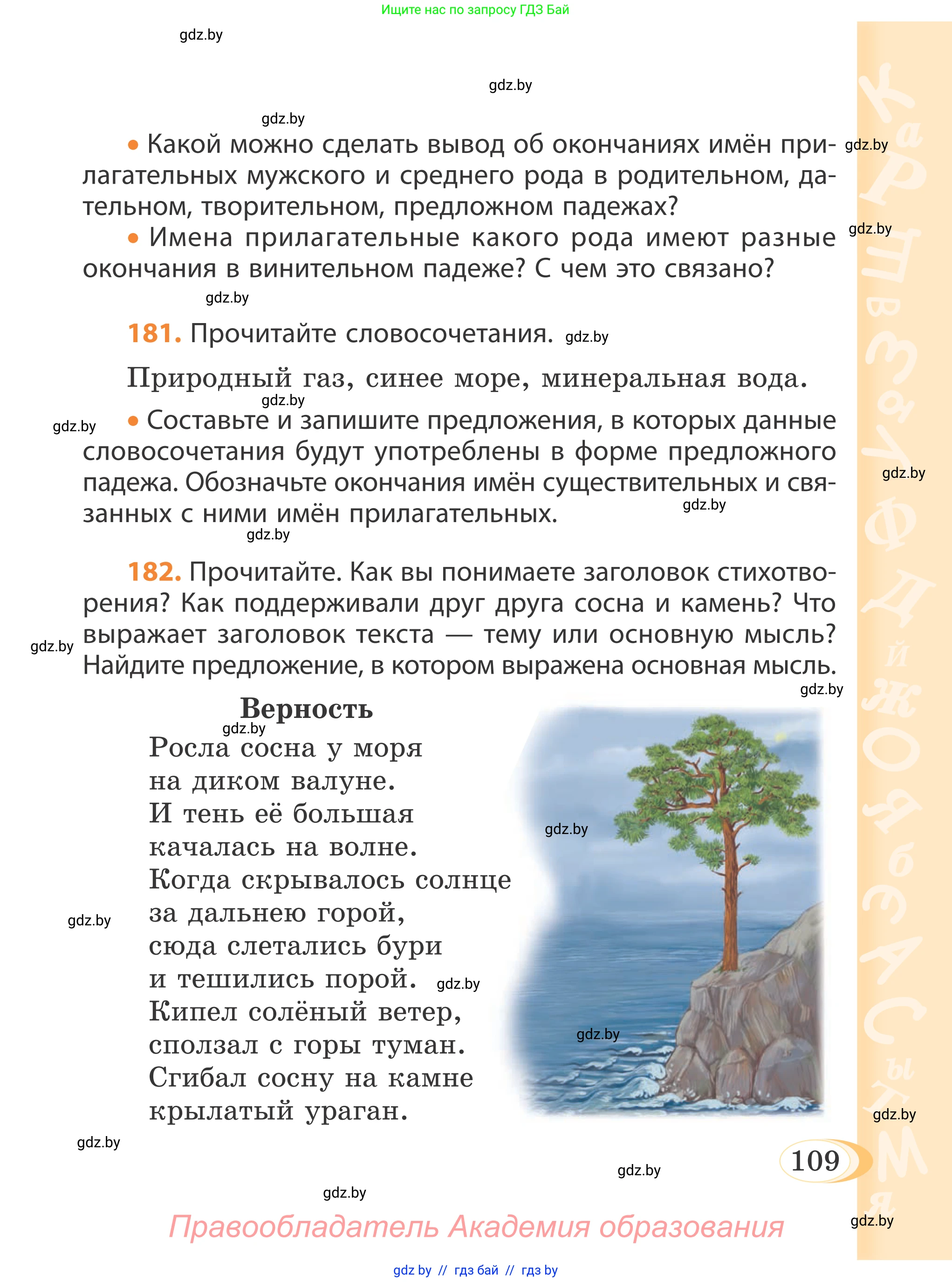 Русский язык, 4 класс Учебник, авторы: Антипова Маргарита Борисовна, Верниковская Алла Викторовна, Грабчикова Елена Самарьевна, издательство Академия образования, Минск, 2024, оранжевого цвета, Часть 1, страница 109