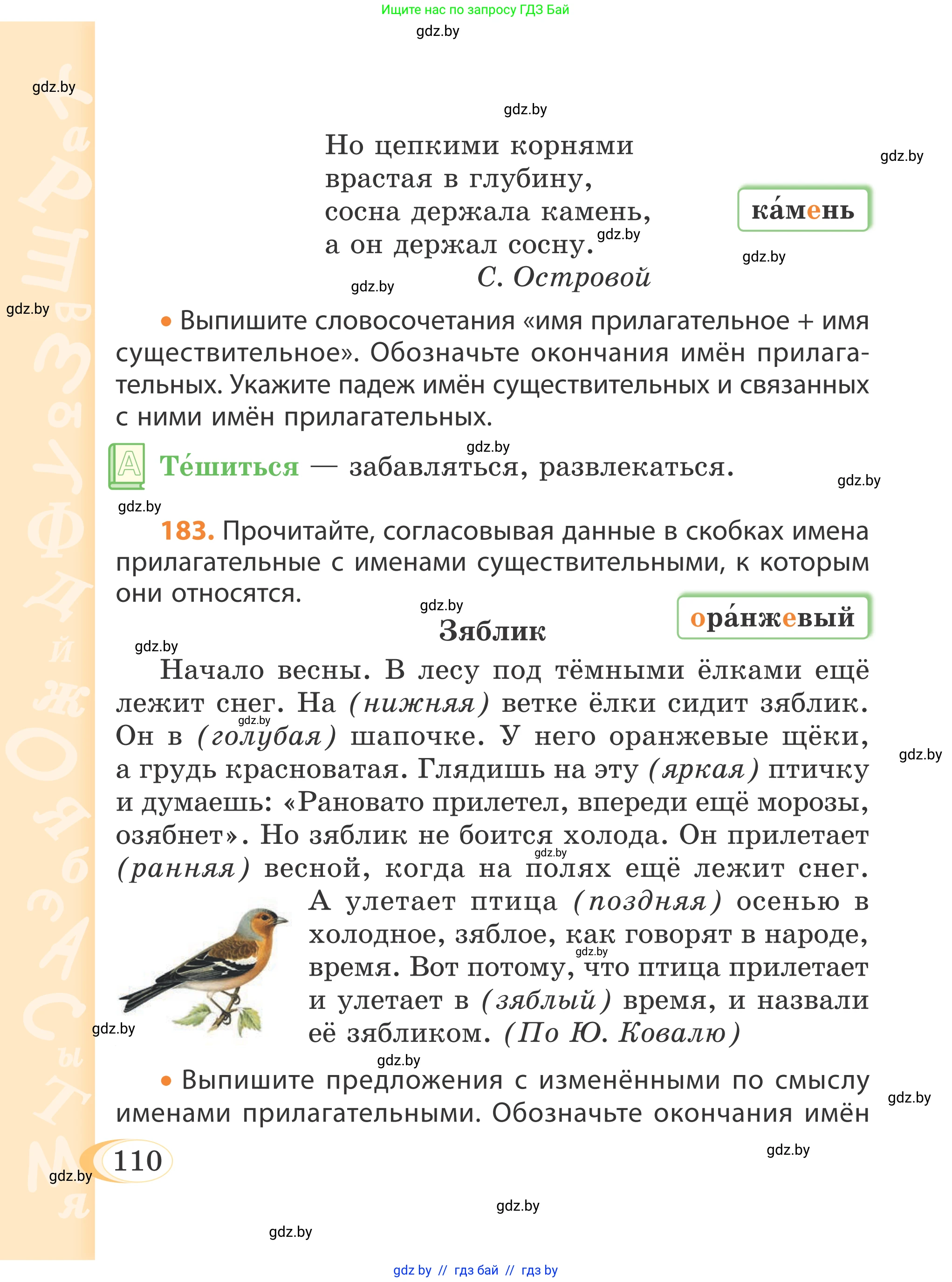 Русский язык, 4 класс Учебник, авторы: Антипова Маргарита Борисовна, Верниковская Алла Викторовна, Грабчикова Елена Самарьевна, издательство Академия образования, Минск, 2024, оранжевого цвета, Часть 1, страница 110