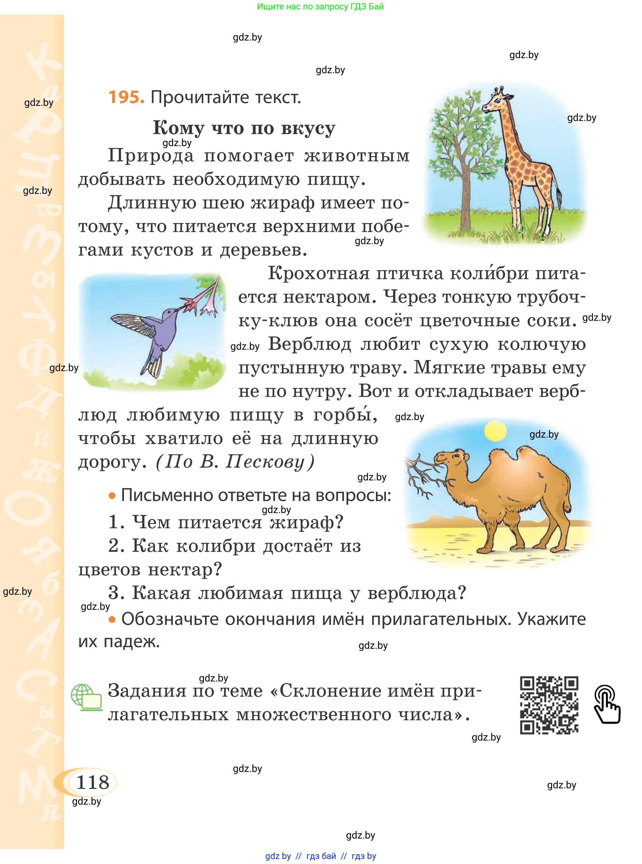 Русский язык, 4 класс Учебник, авторы: Антипова Маргарита Борисовна, Верниковская Алла Викторовна, Грабчикова Елена Самарьевна, издательство Академия образования, Минск, 2024, оранжевого цвета, Часть 1, страница 66, номер 118, Условие