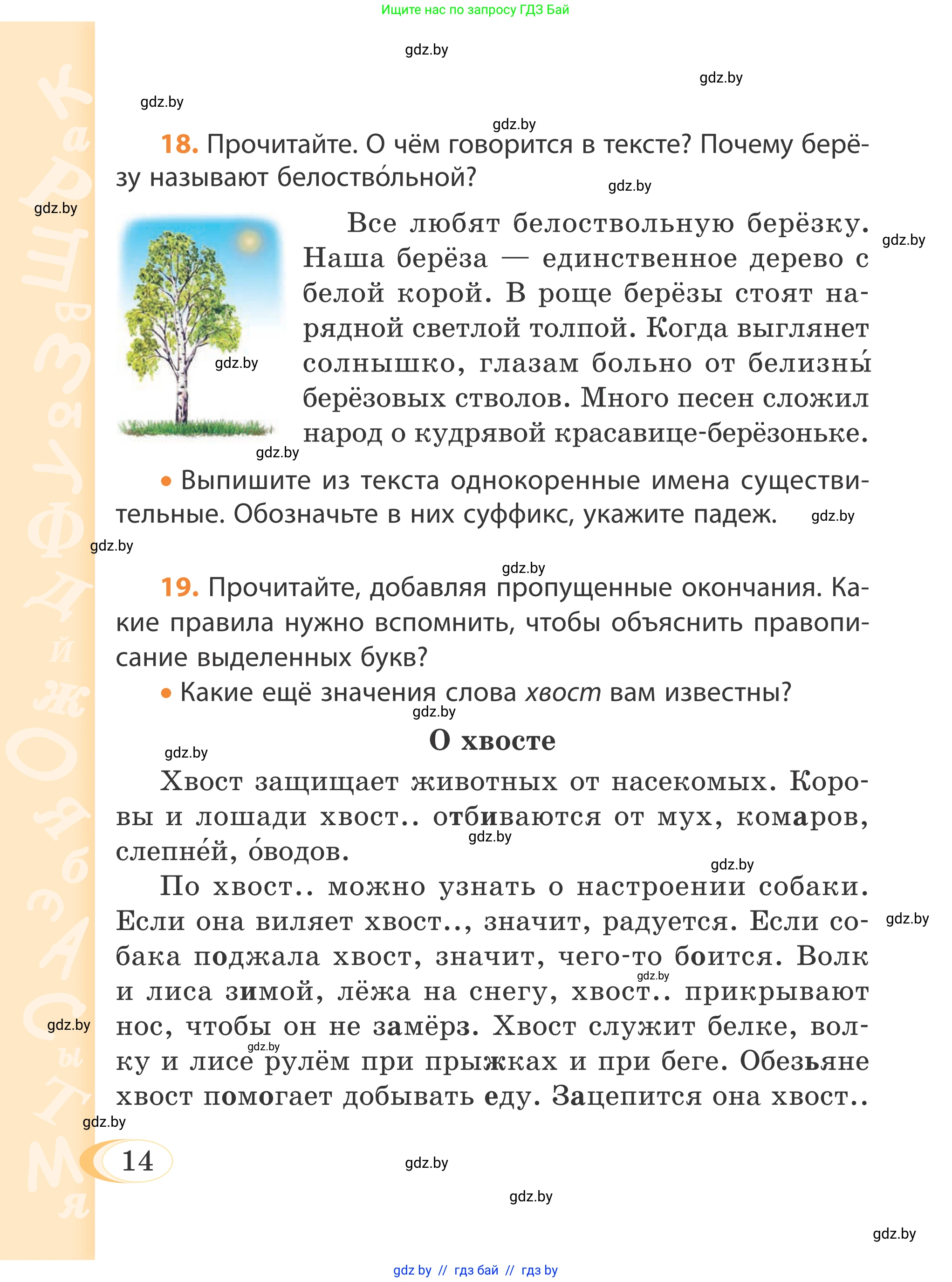 Русский язык, 4 класс Учебник, авторы: Антипова Маргарита Борисовна, Верниковская Алла Викторовна, Грабчикова Елена Самарьевна, издательство Академия образования, Минск, 2024, оранжевого цвета, Часть 1, страница 10, номер 14, Условие