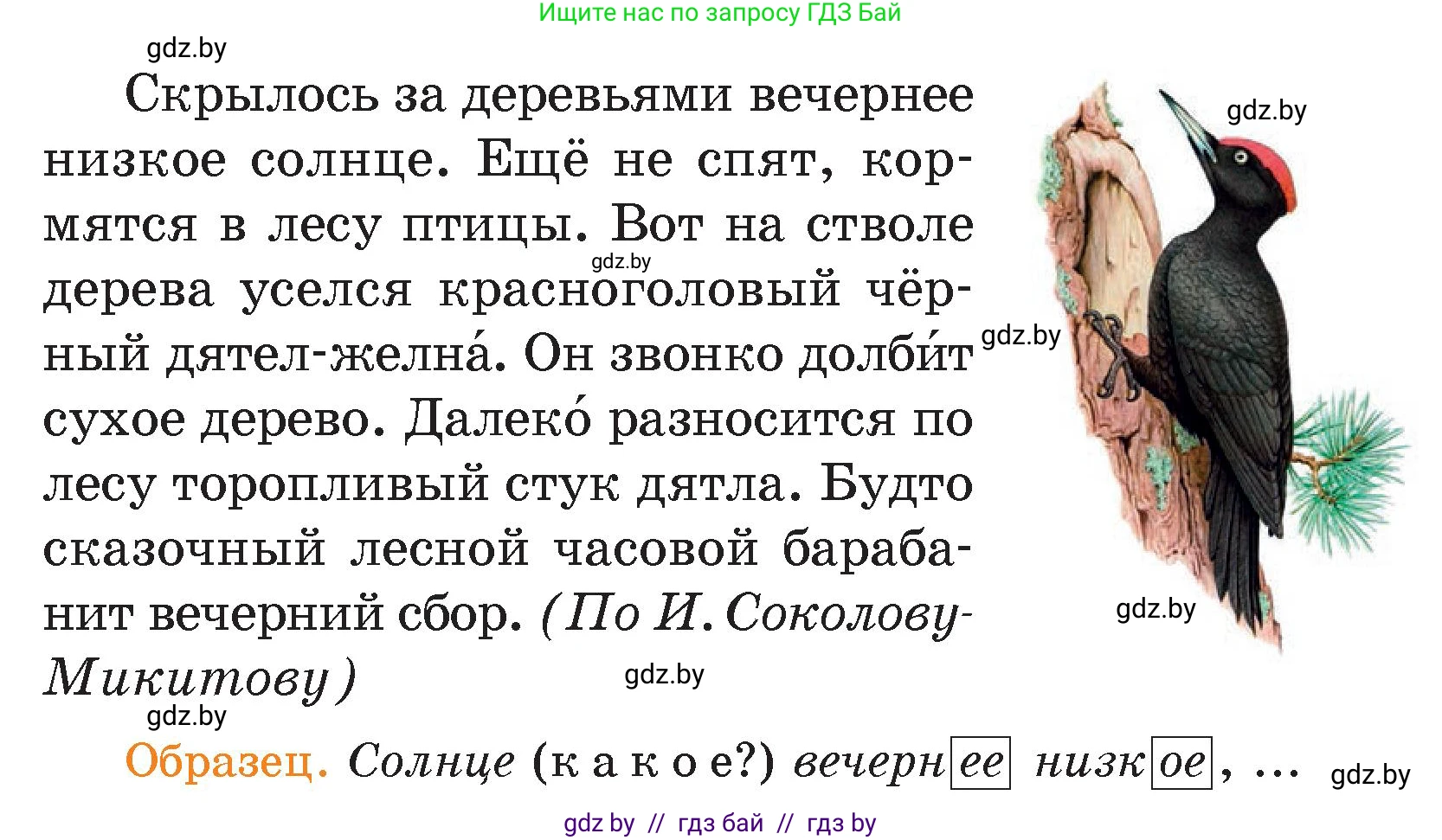 Русский язык, 4 класс Учебник, авторы: Антипова Маргарита Борисовна, Верниковская Алла Викторовна, Грабчикова Елена Самарьевна, издательство Академия образования, Минск, 2024, оранжевого цвета, Часть 1, страница 82, номер 145, Условие (продолжение 2)