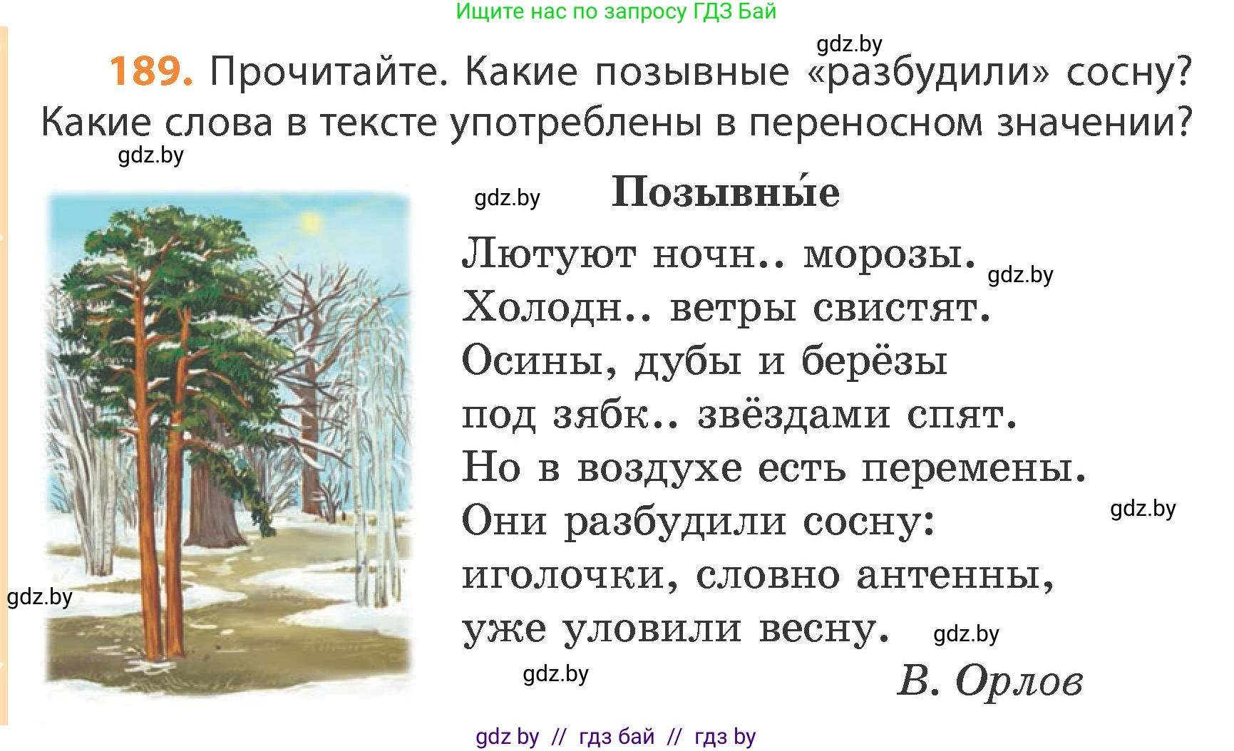 Русский язык, 4 класс Учебник, авторы: Антипова Маргарита Борисовна, Верниковская Алла Викторовна, Грабчикова Елена Самарьевна, издательство Академия образования, Минск, 2024, оранжевого цвета, Часть 1, страница 114, номер 189, Условие