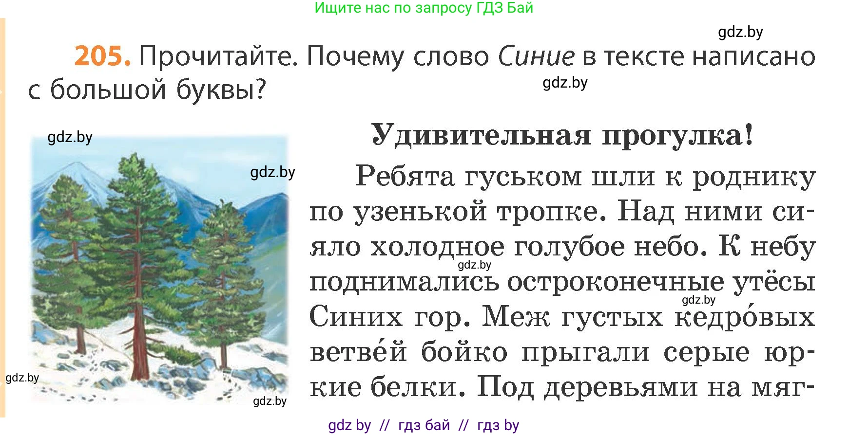 Русский язык, 4 класс Учебник, авторы: Антипова Маргарита Борисовна, Верниковская Алла Викторовна, Грабчикова Елена Самарьевна, издательство Академия образования, Минск, 2024, оранжевого цвета, Часть 1, страница 124, номер 205, Условие