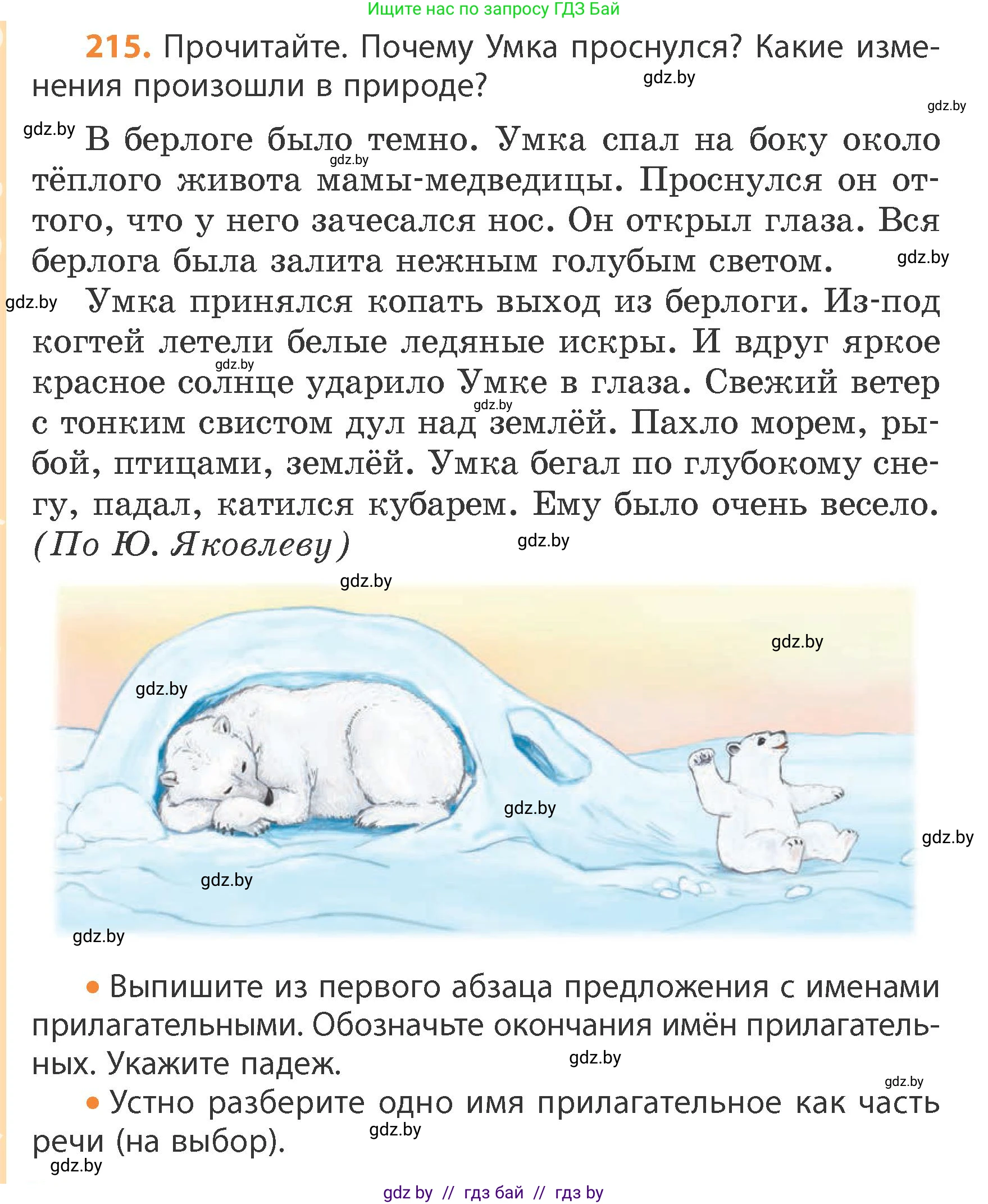 Русский язык, 4 класс Учебник, авторы: Антипова Маргарита Борисовна, Верниковская Алла Викторовна, Грабчикова Елена Самарьевна, издательство Академия образования, Минск, 2024, оранжевого цвета, Часть 1, страница 132, номер 215, Условие