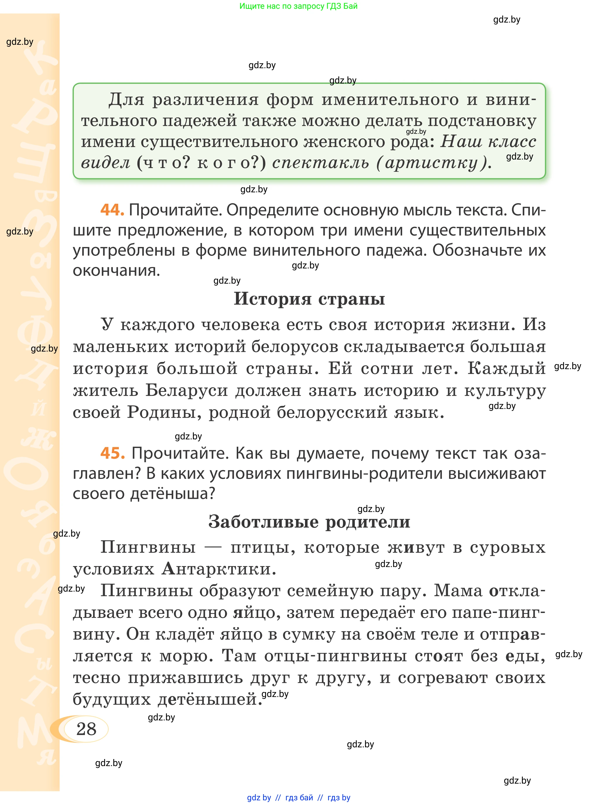 Русский язык, 4 класс Учебник, авторы: Антипова Маргарита Борисовна, Верниковская Алла Викторовна, Грабчикова Елена Самарьевна, издательство Академия образования, Минск, 2024, оранжевого цвета, Часть 1, страница 28
