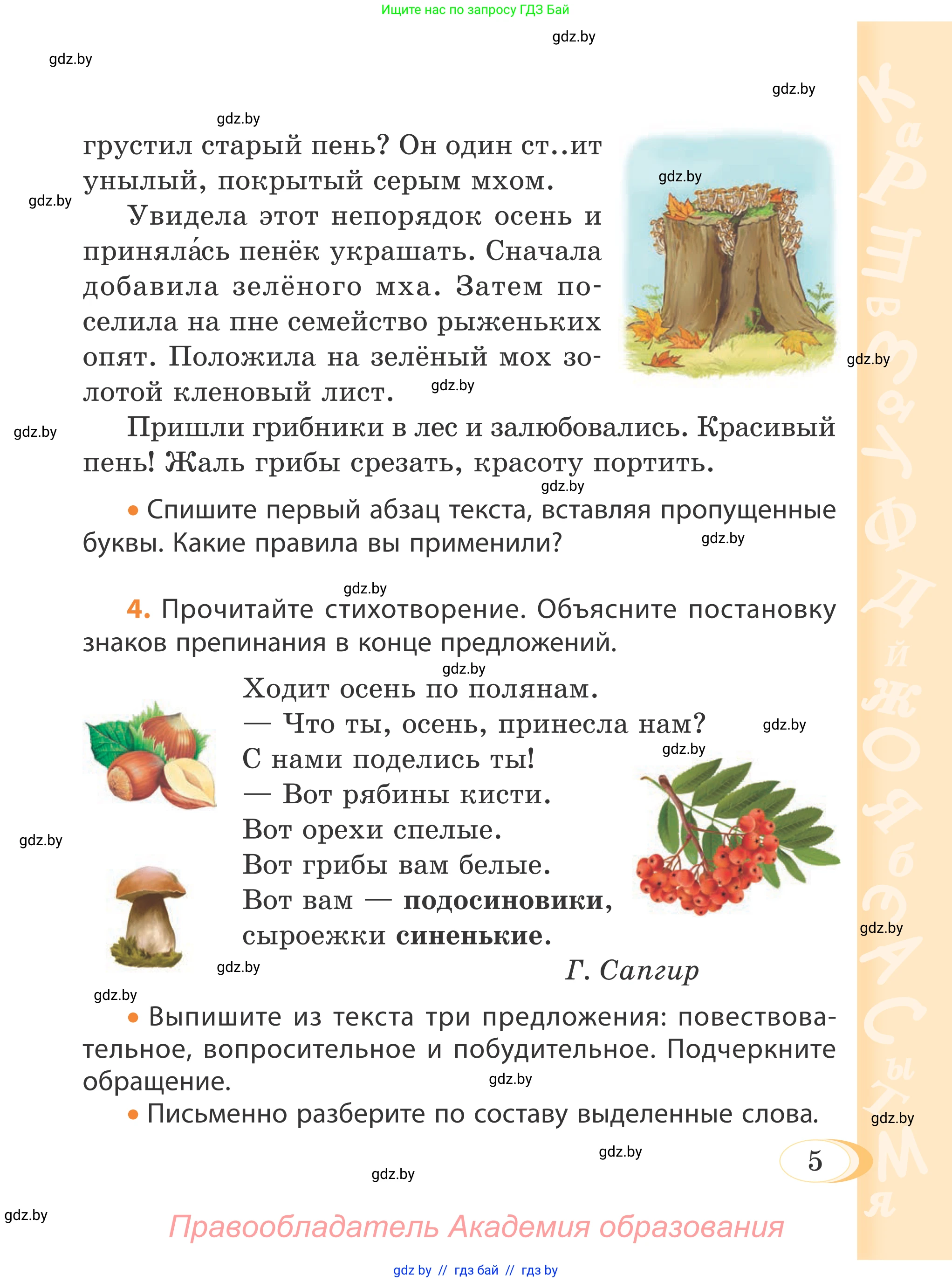 Русский язык, 4 класс Учебник, авторы: Антипова Маргарита Борисовна, Верниковская Алла Викторовна, Грабчикова Елена Самарьевна, издательство Академия образования, Минск, 2024, оранжевого цвета, Часть 1, страница 5
